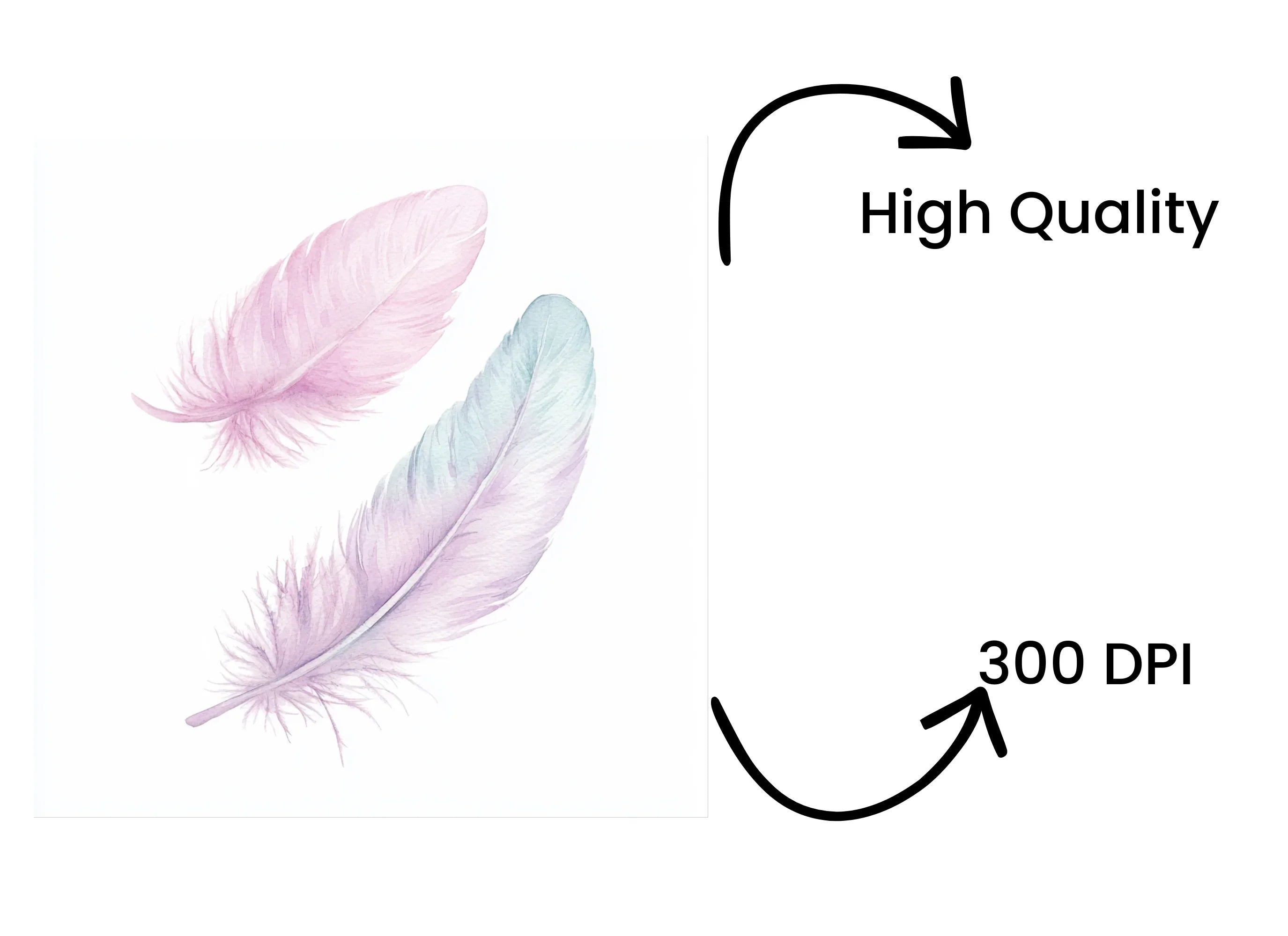 Soft Pastel Feathers Clipart Bundle