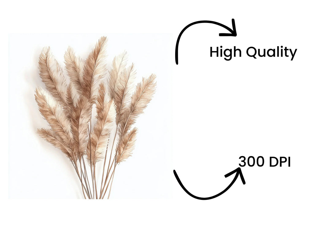 Pampas Grass Clipart Bundle