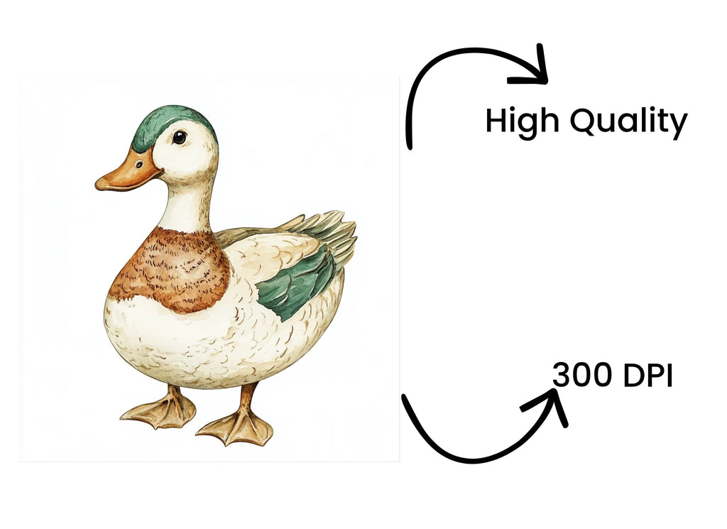 Adorable Duck Clipart Bundle