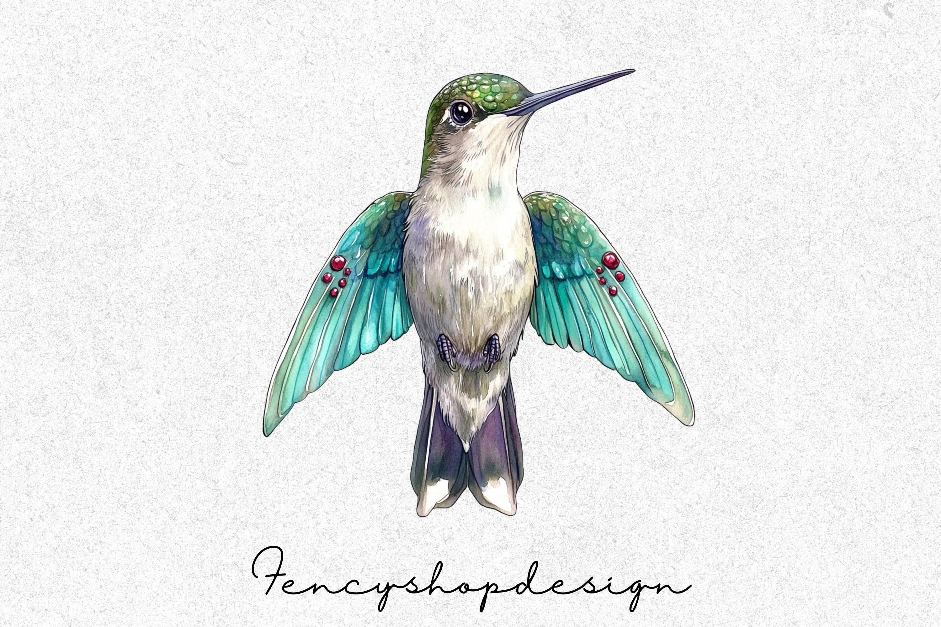 Elegant Hummingbirds Clipart Bundle