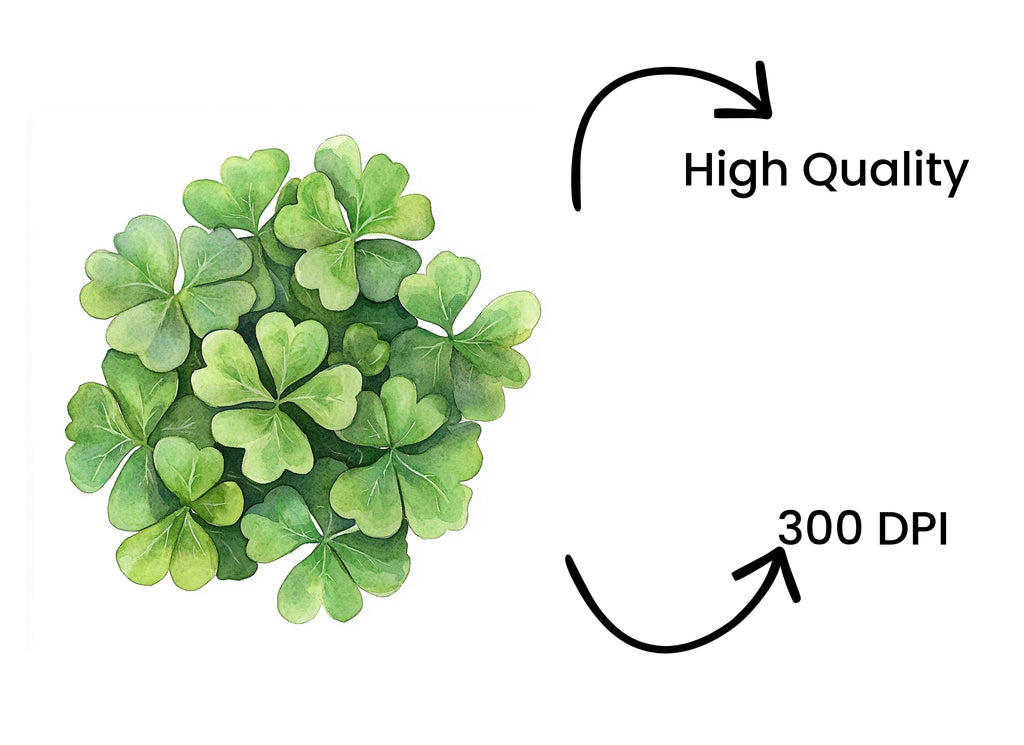 Top View Clover Clipart Bundle