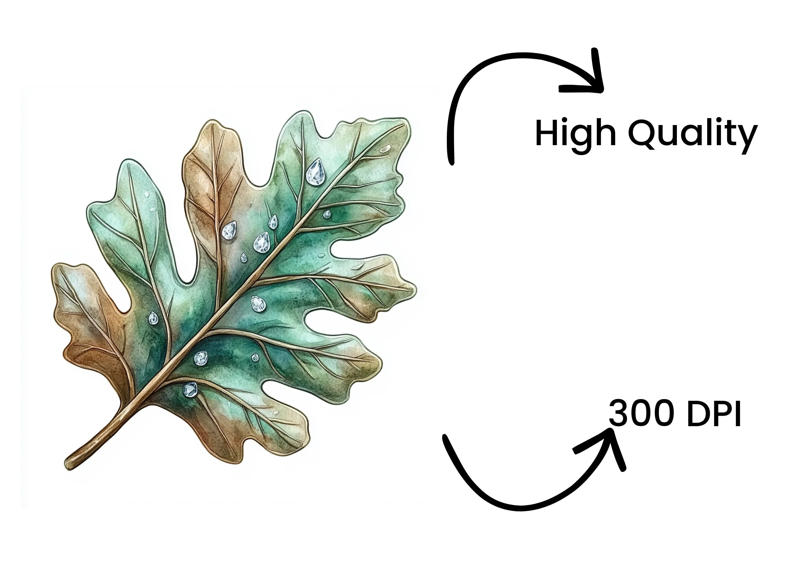 Oak Leaves with Dew Drops Clipart Bundle