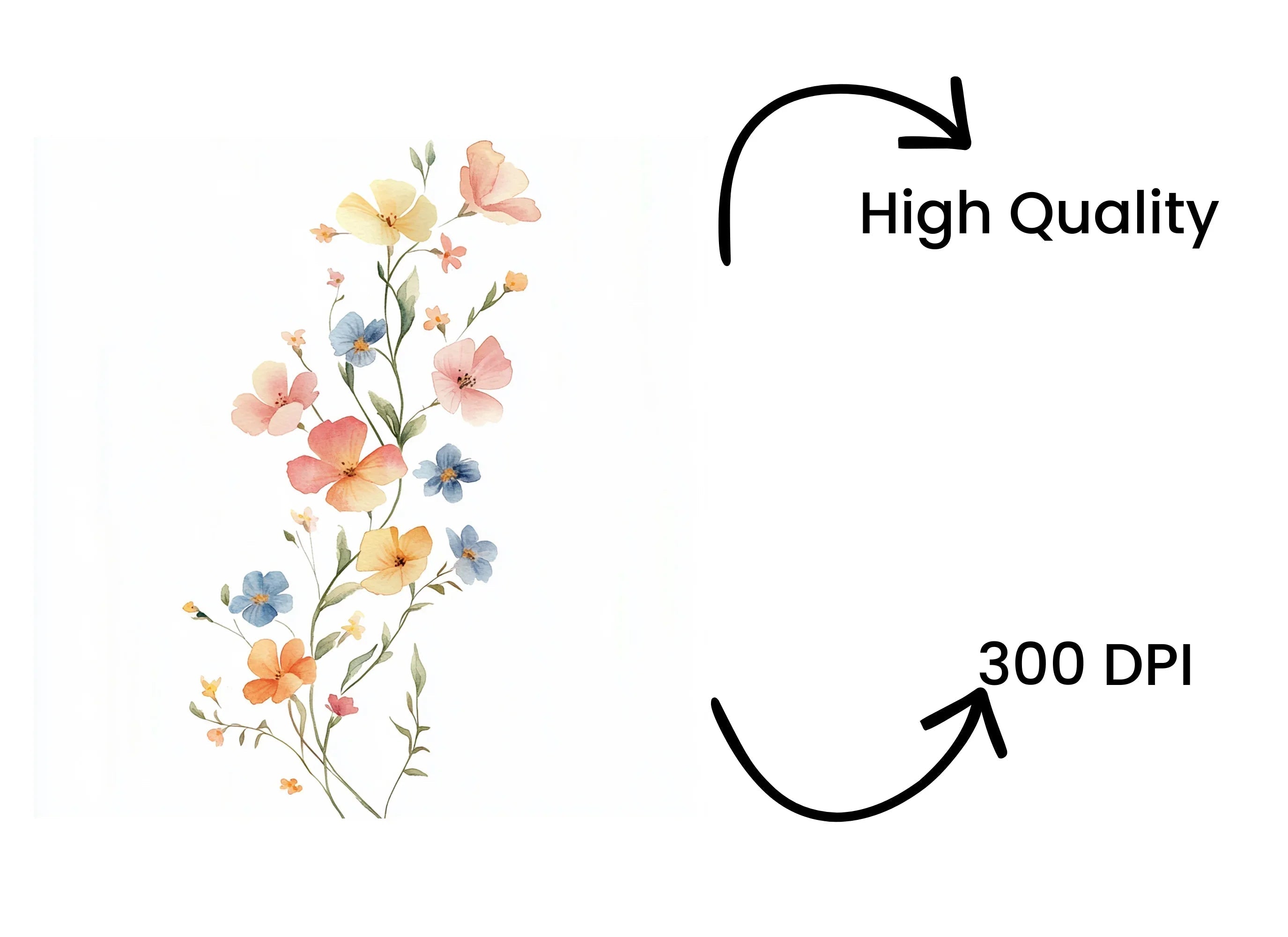 Floral Arrangements Clipart Bundle