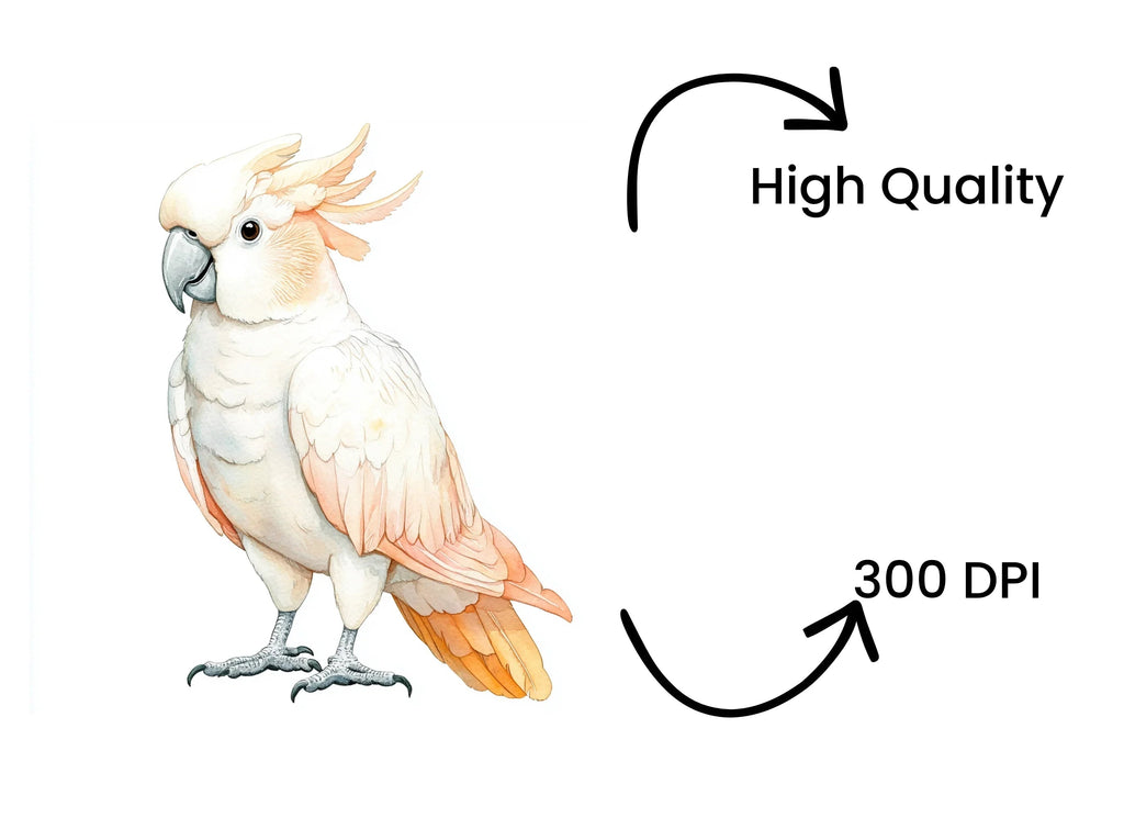 Cockatoo Clipart Bundle