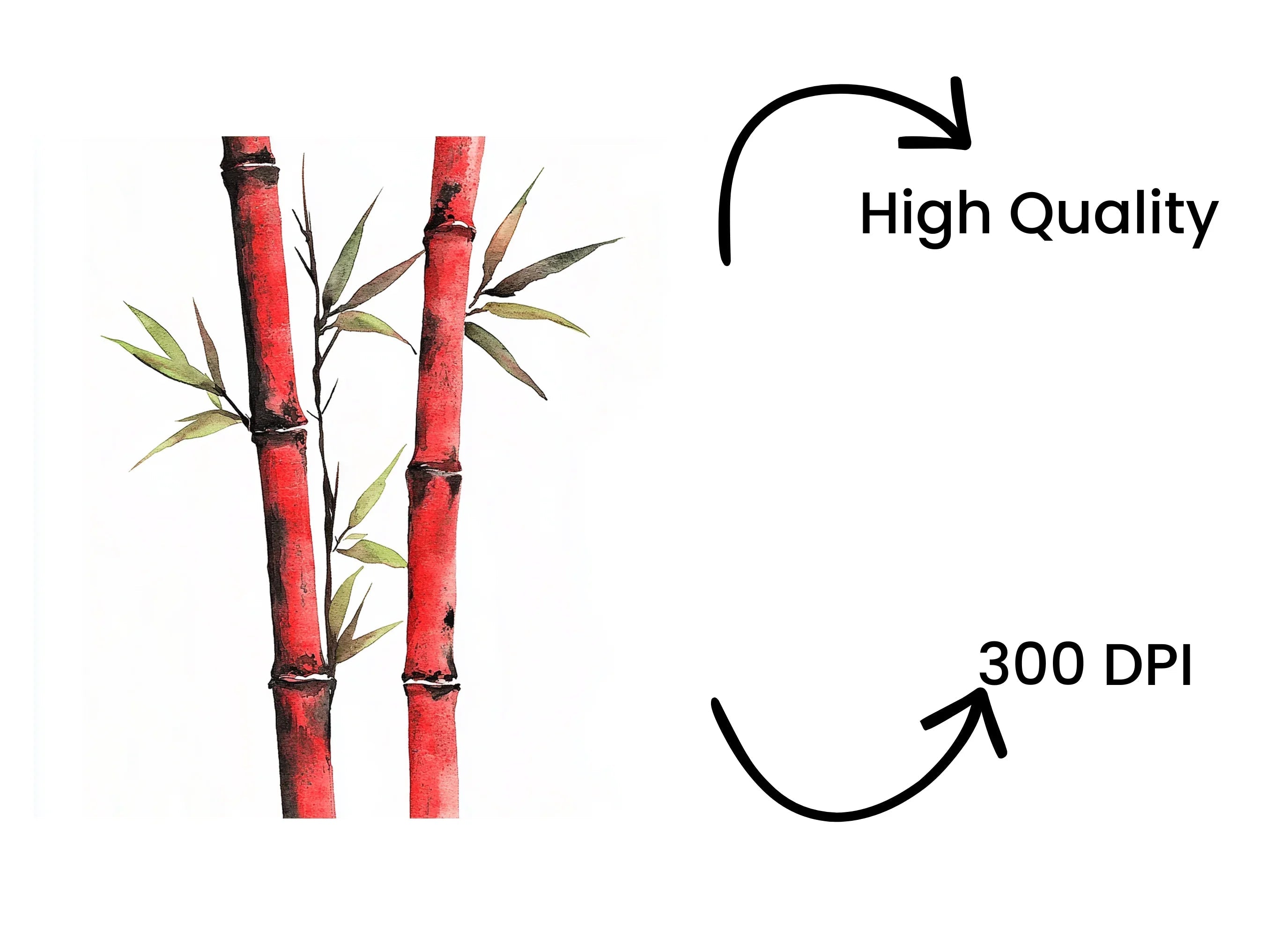 Red Bamboo Clipart Bundle