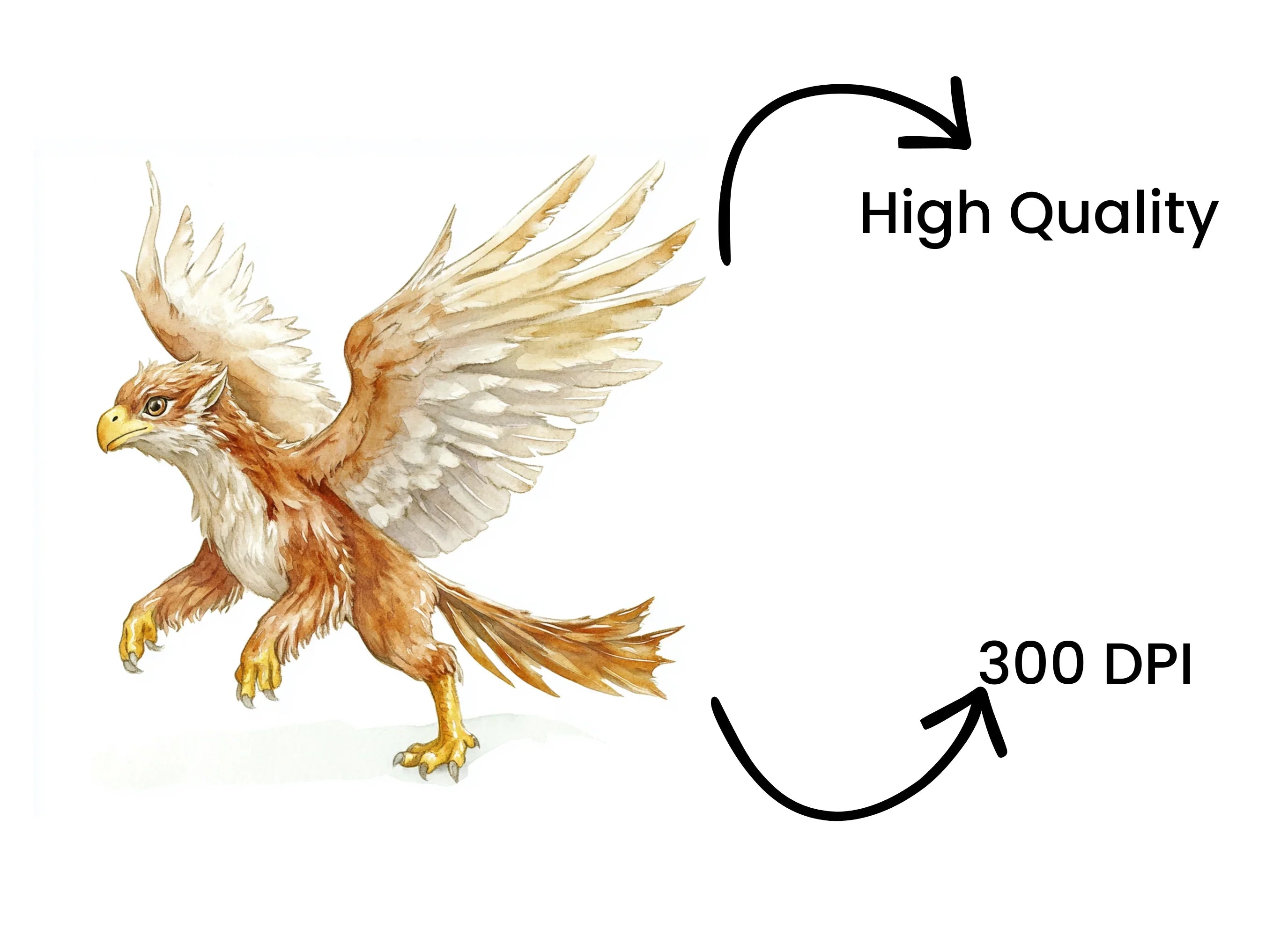 Majestic Griffin Clipart Bundle