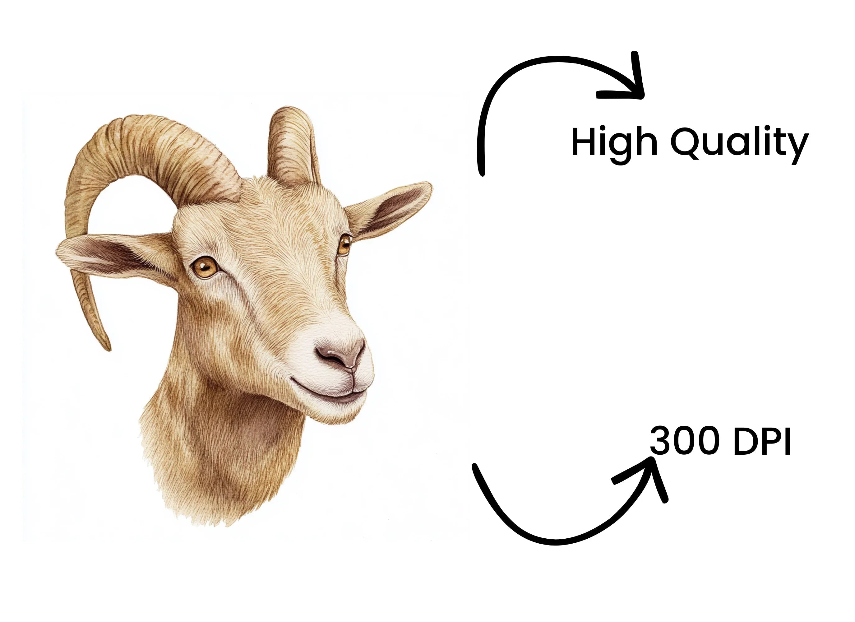 Smiling Goats Clipart Bundle