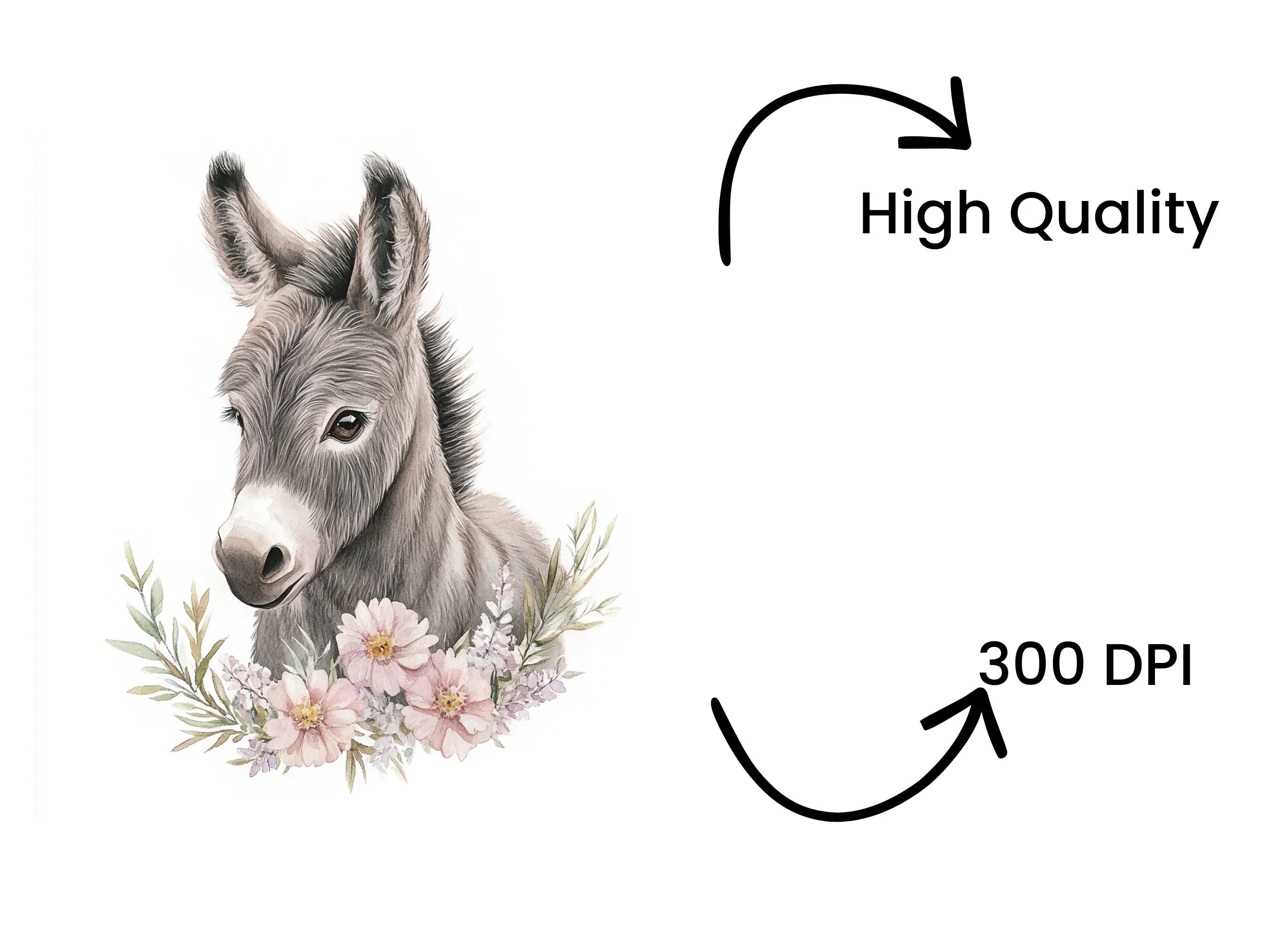 Baby Donkey Floral Accents Clipart Bundle