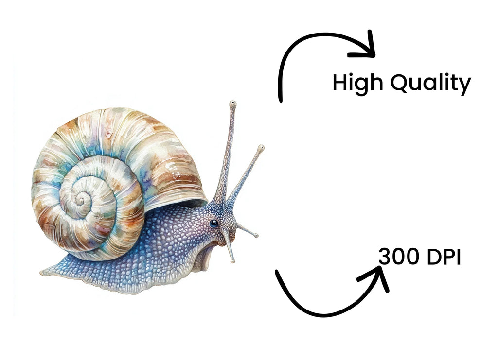 Snail Clipart Bundle