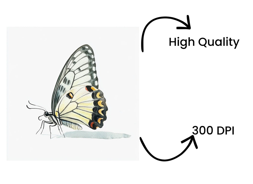 Elegant White Butterfly Clipart Bundle