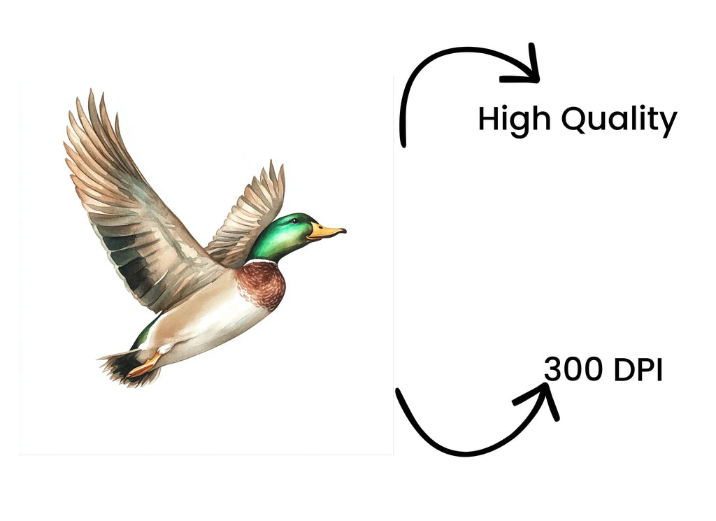 Flying Mallard Ducks Clipart Bundle