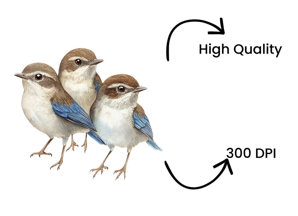 Cute Birds Clipart Bundle
