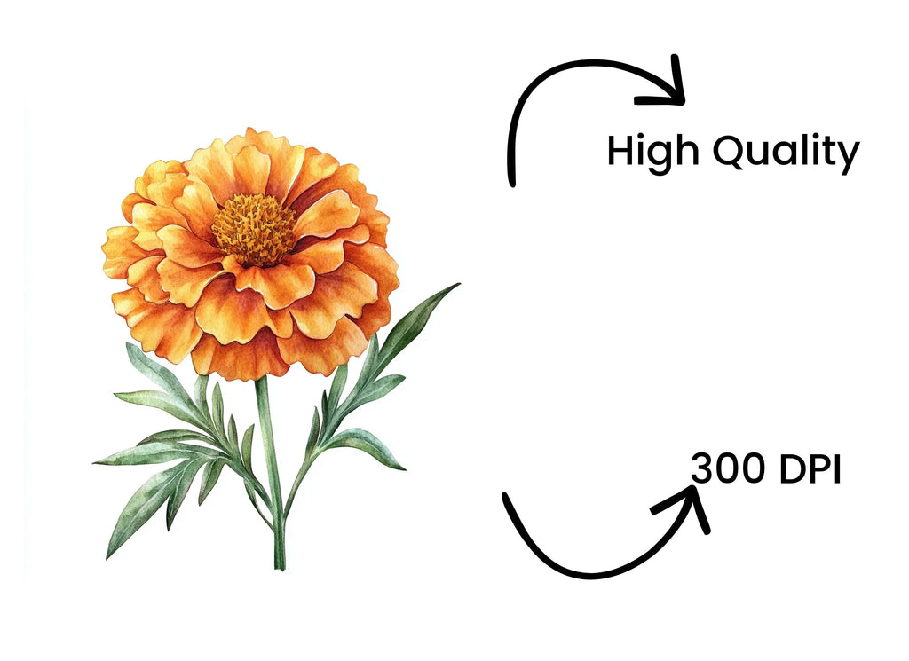Orange Marigold Designs Clipart Bundle