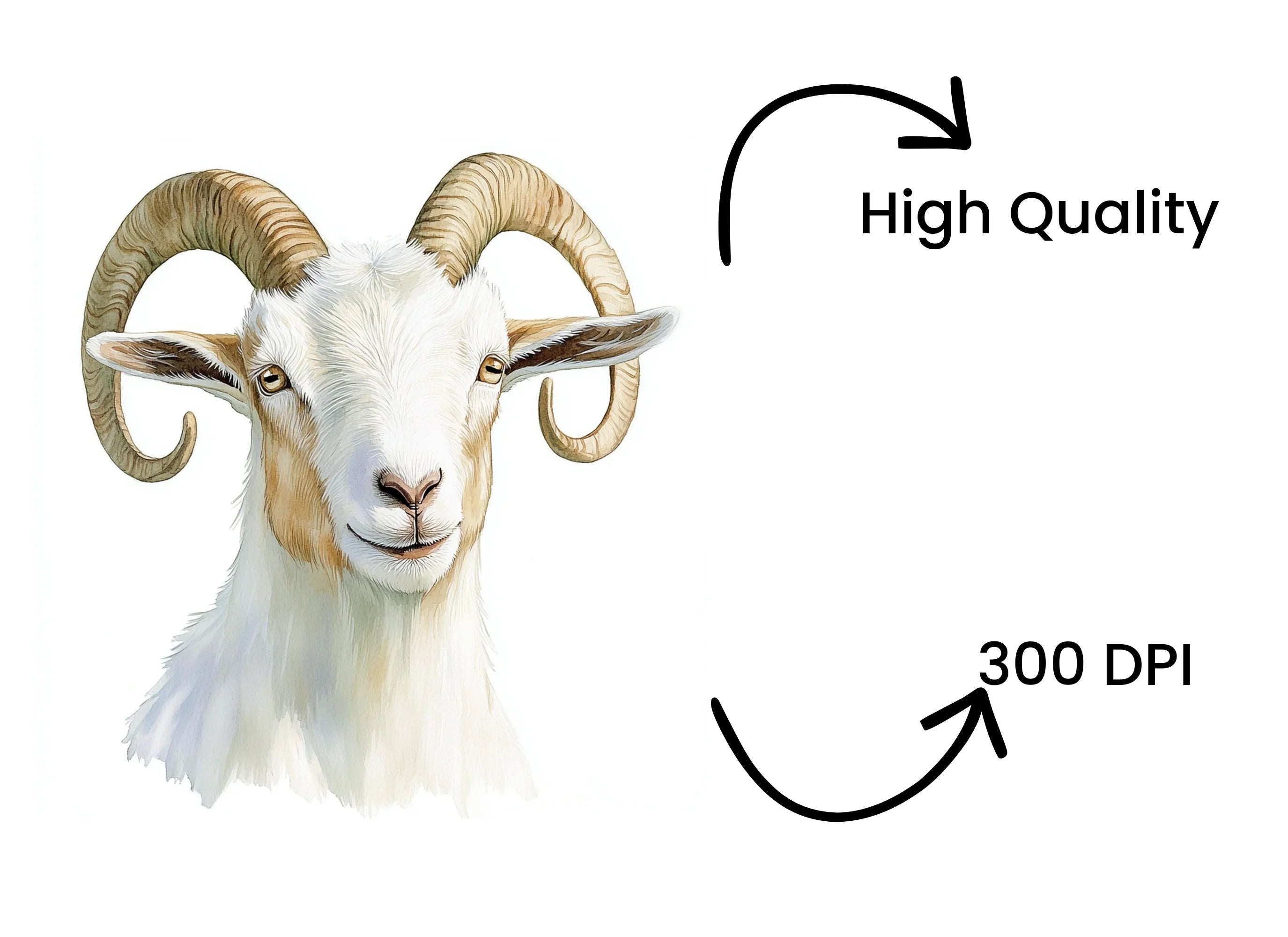 Majestic Ram Head Clipart Bundle