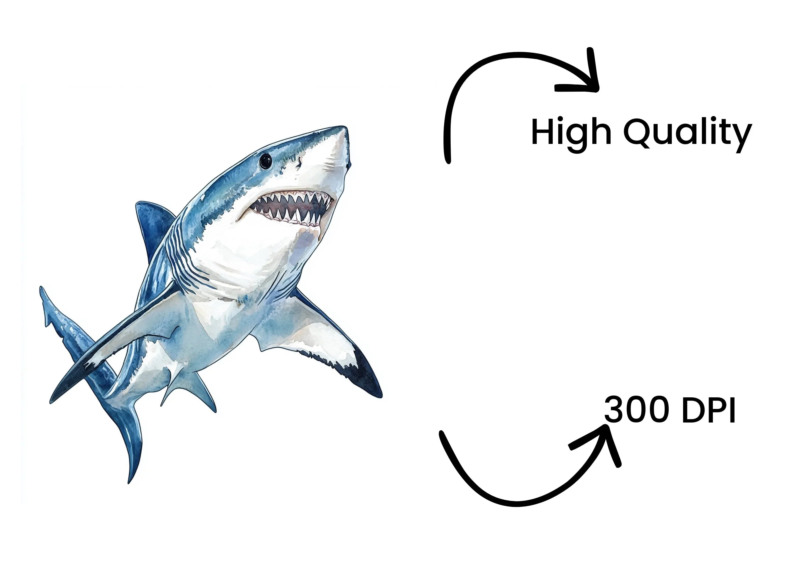 Great White Shark Clipart Bundle