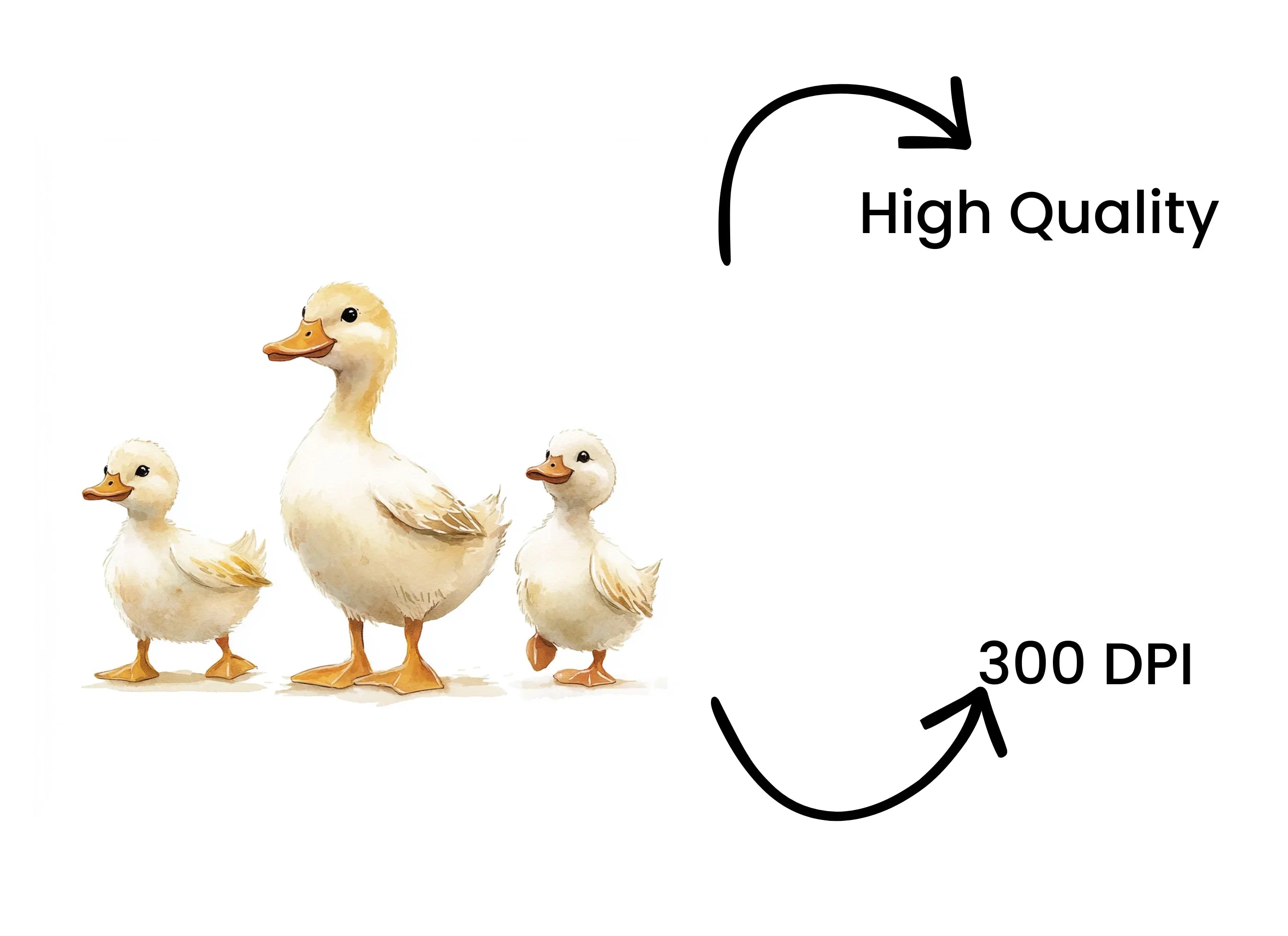 Cute Duck Family Clipart Bundle