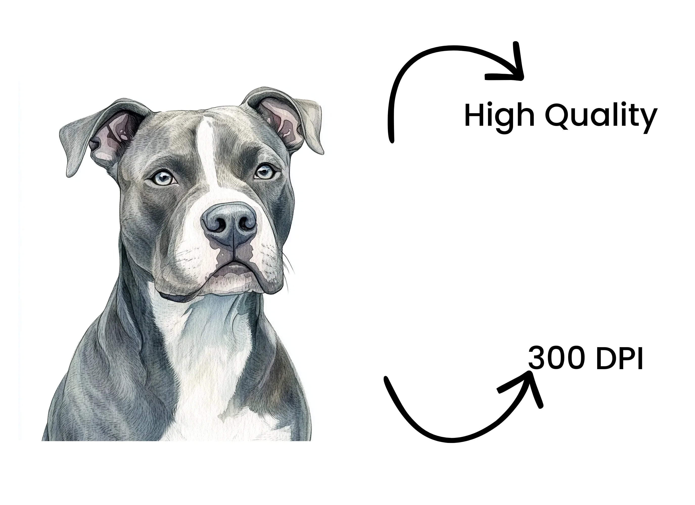 Blue Nose Pitbull Clipart Bundle