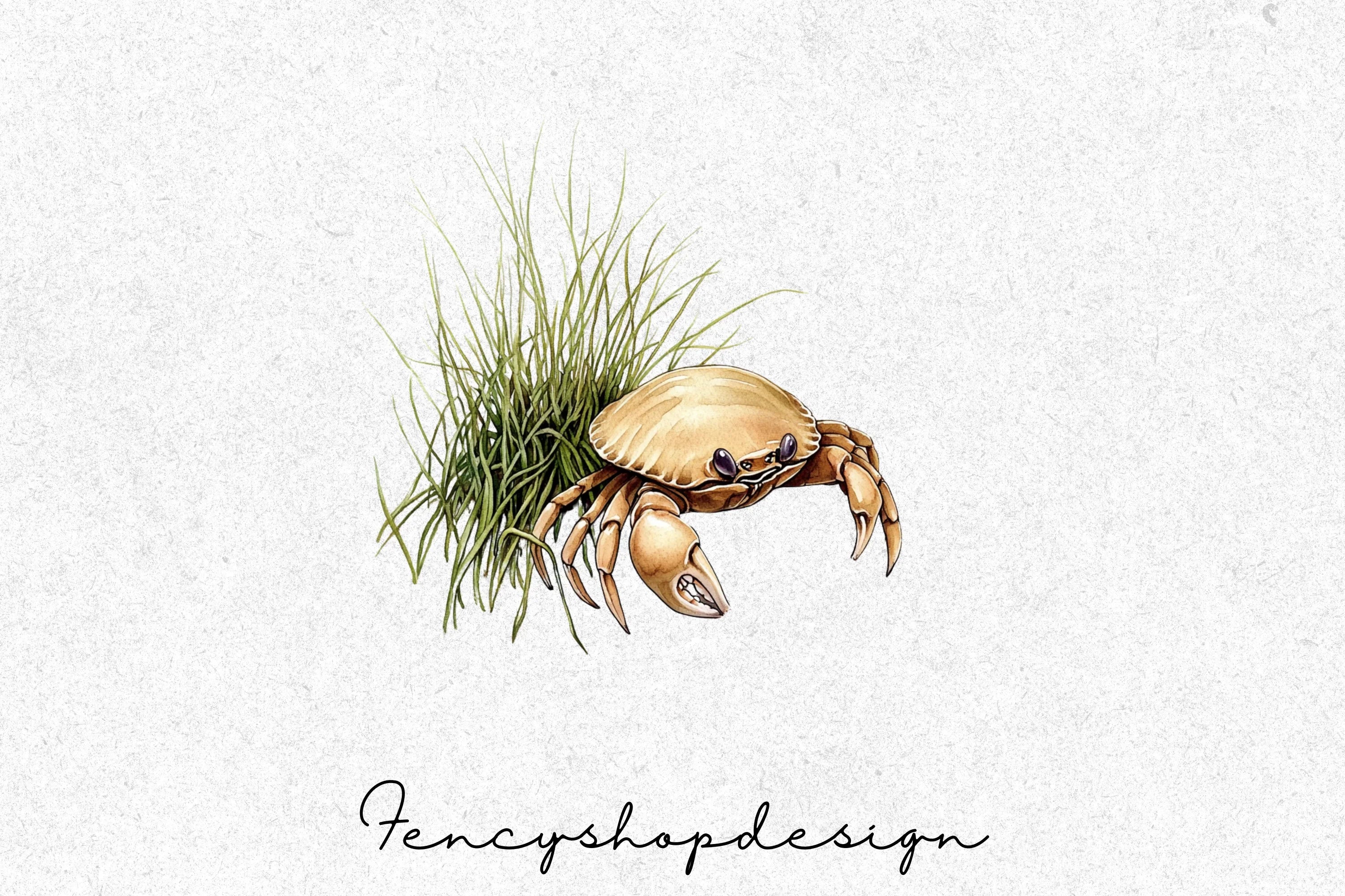 Desert Dunes and Beach Crab Clipart Bundle