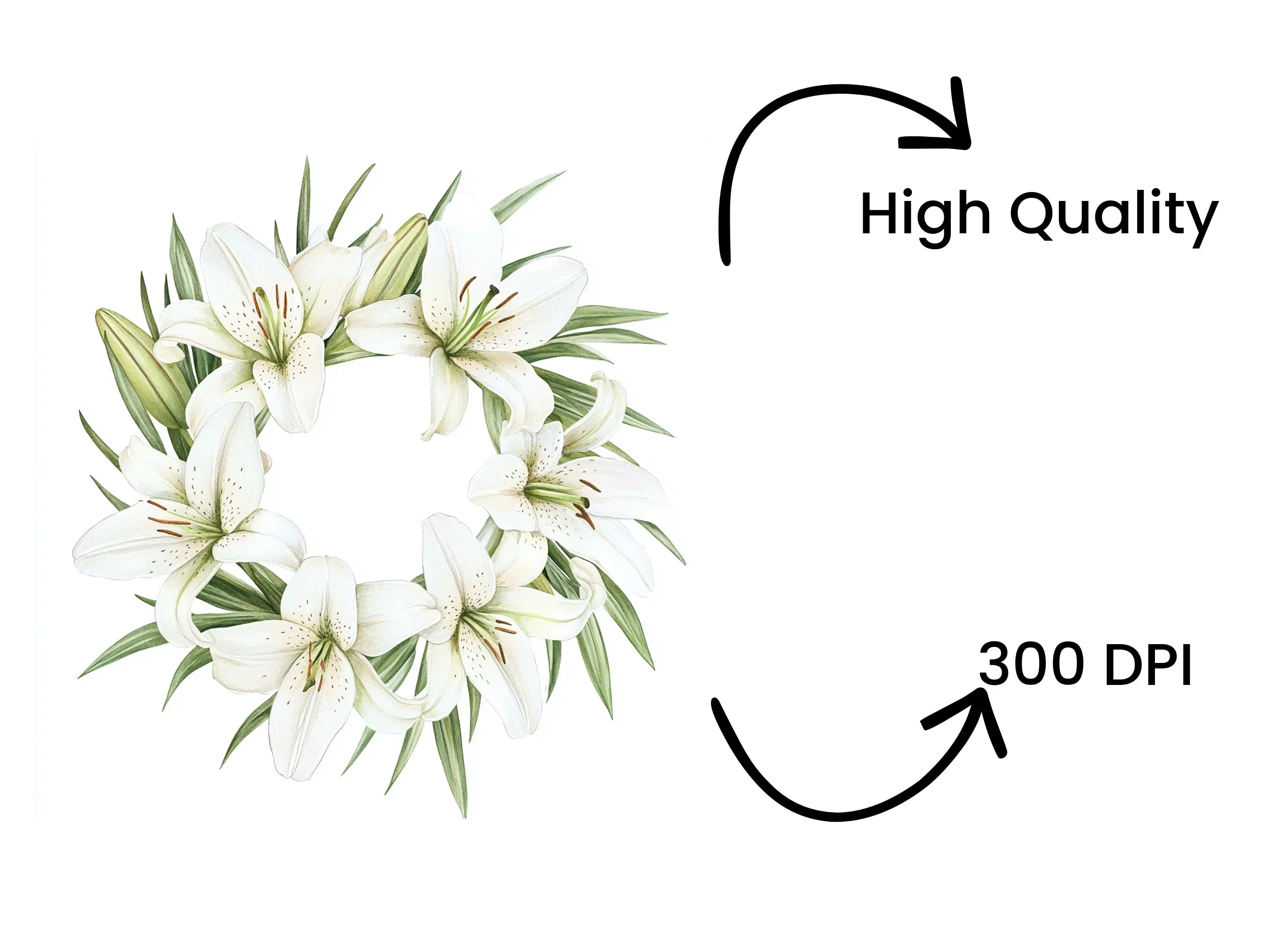 Elegant White Lily Wreaths Clipart Bundle