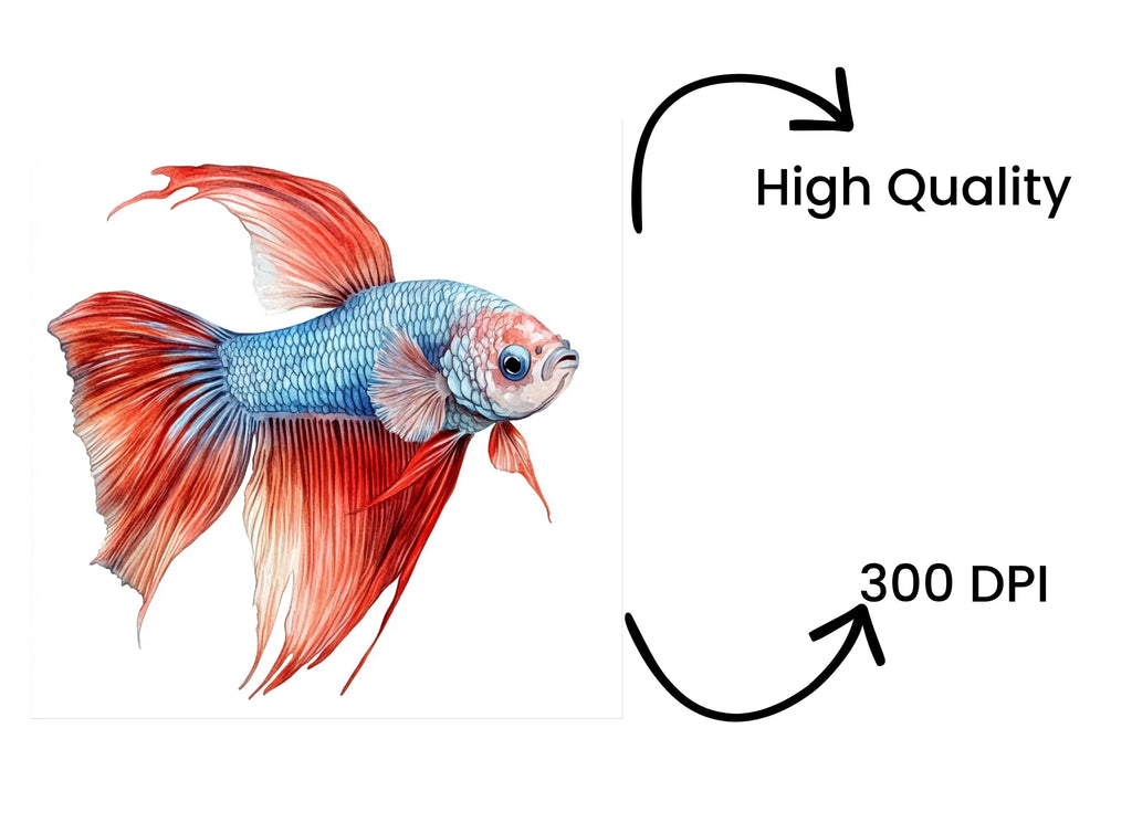 Stunning Betta Fish Clipart Bundle