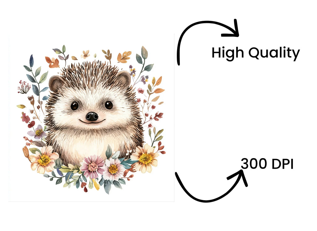 Cute Hedgehog Clipart Bundle