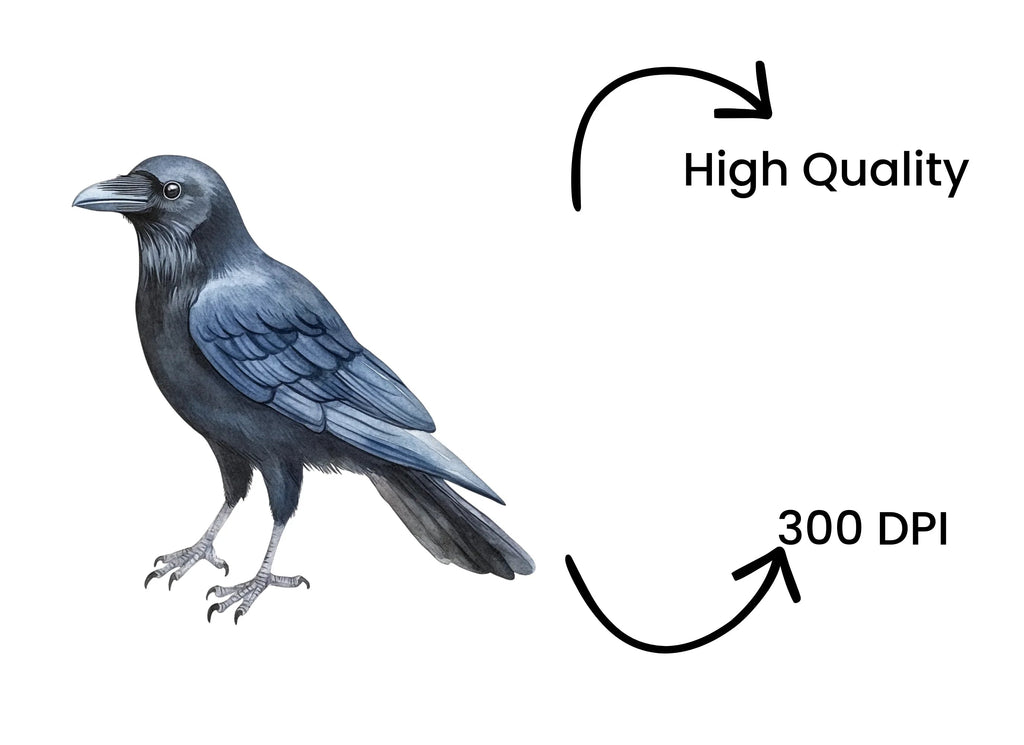 Black Crow Bird Clipart Bundle