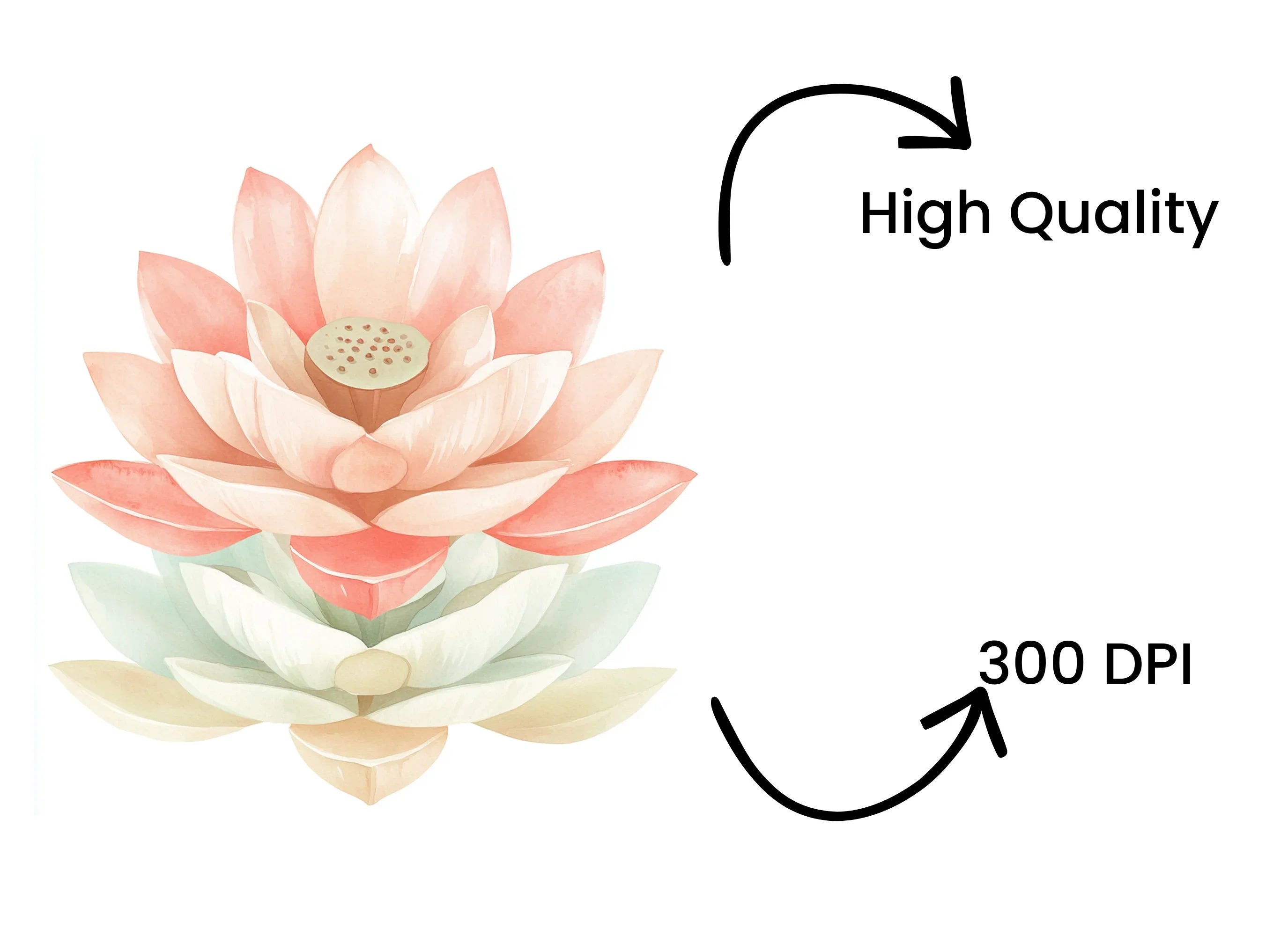 Elegant Lotus Flower Clipart Bundle
