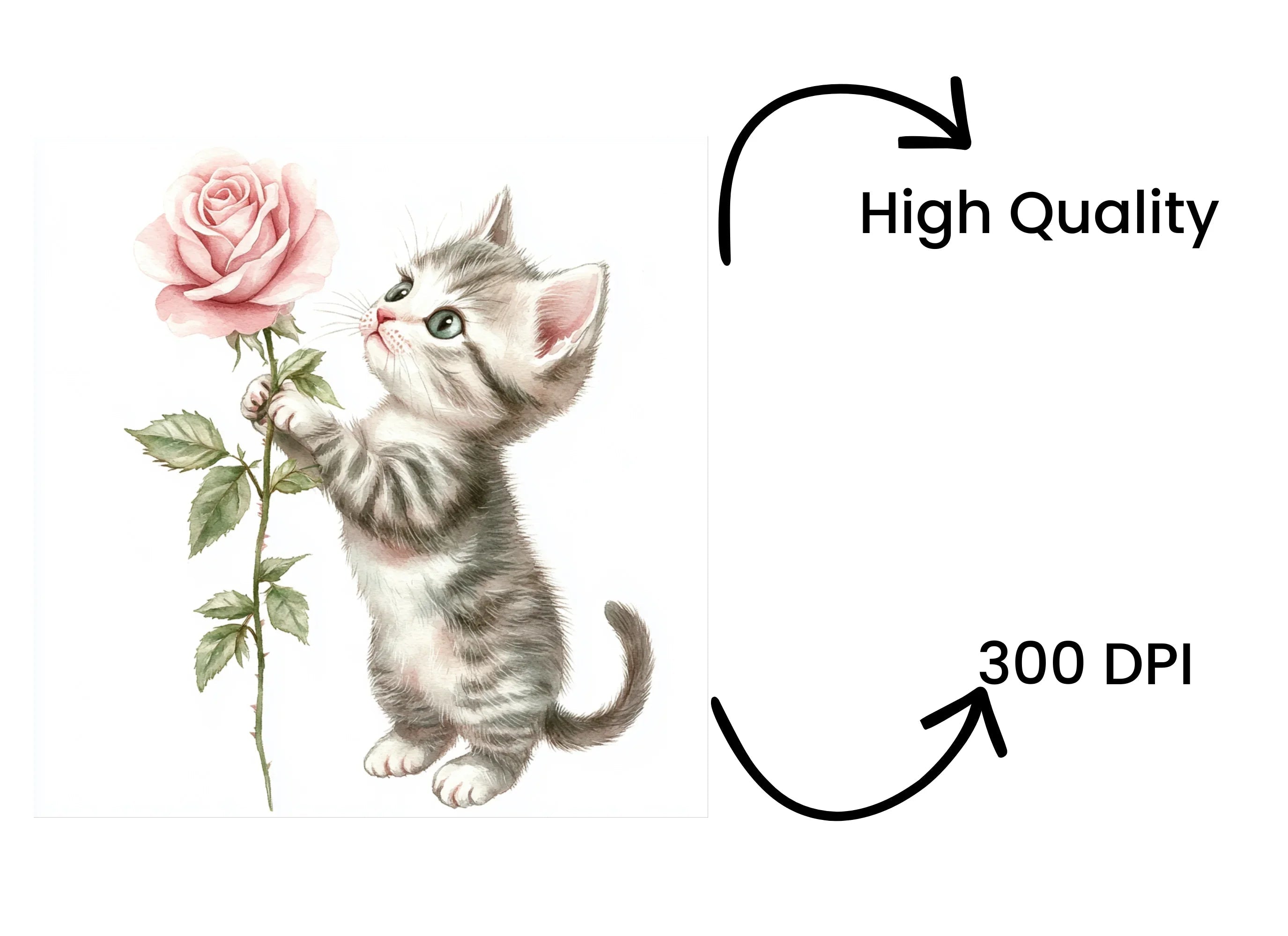 Cute Kittens with Pink Roses Clipart Bundle