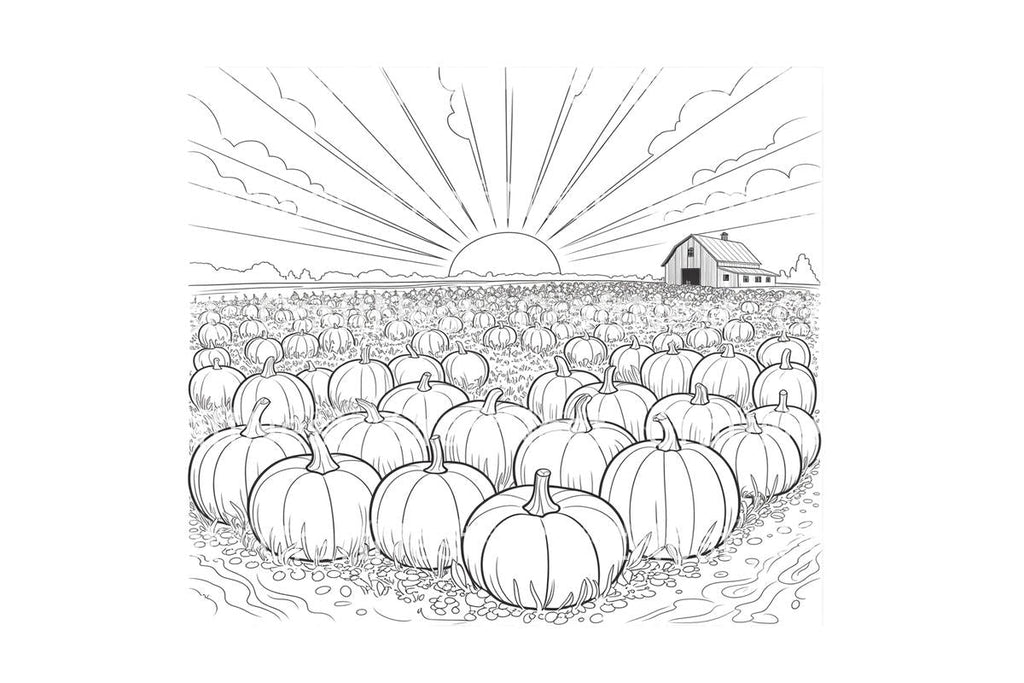 Sunrise Over Pumpkin Field Coloring Books