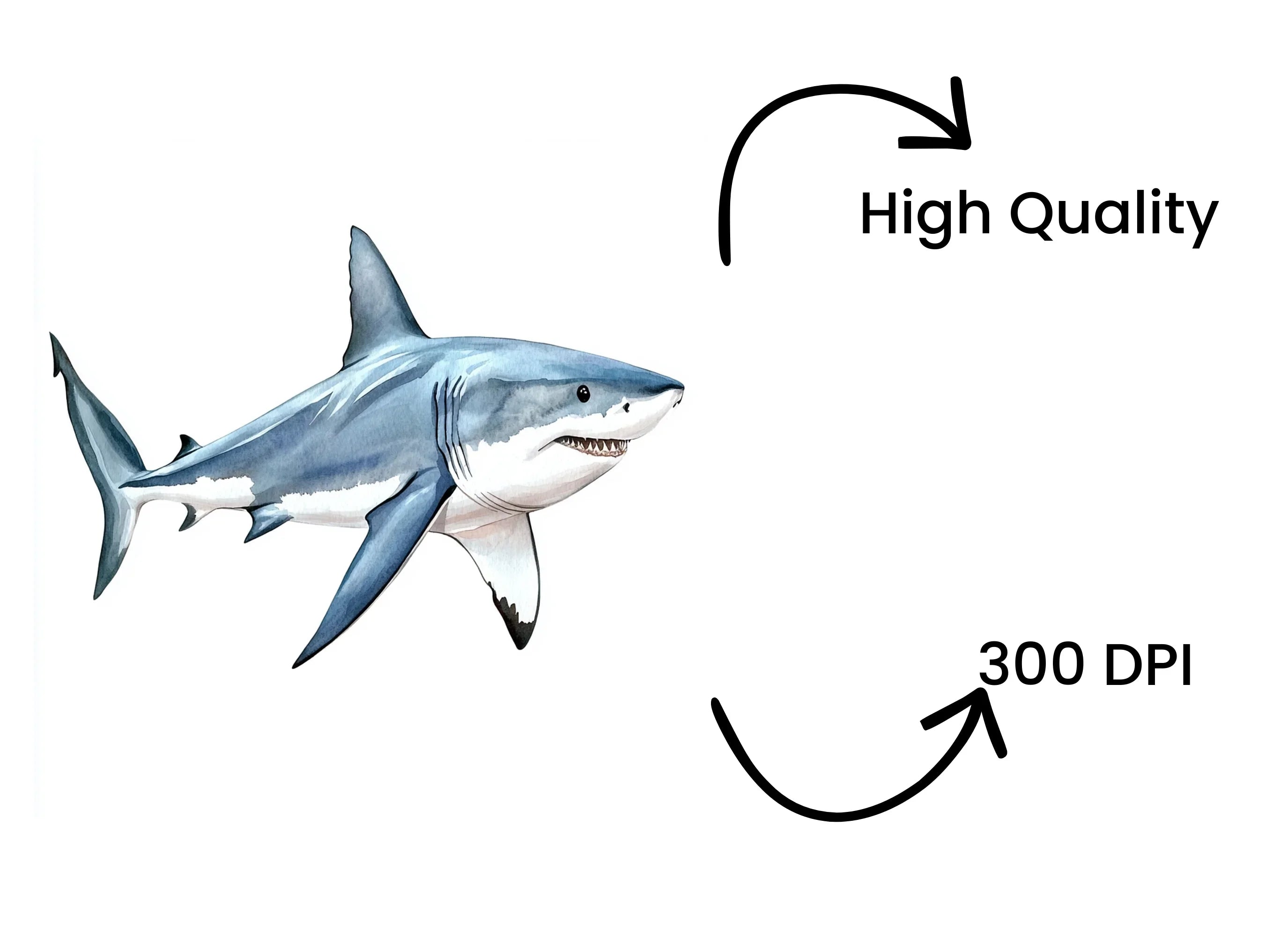 Great White Shark Clipart Bundle