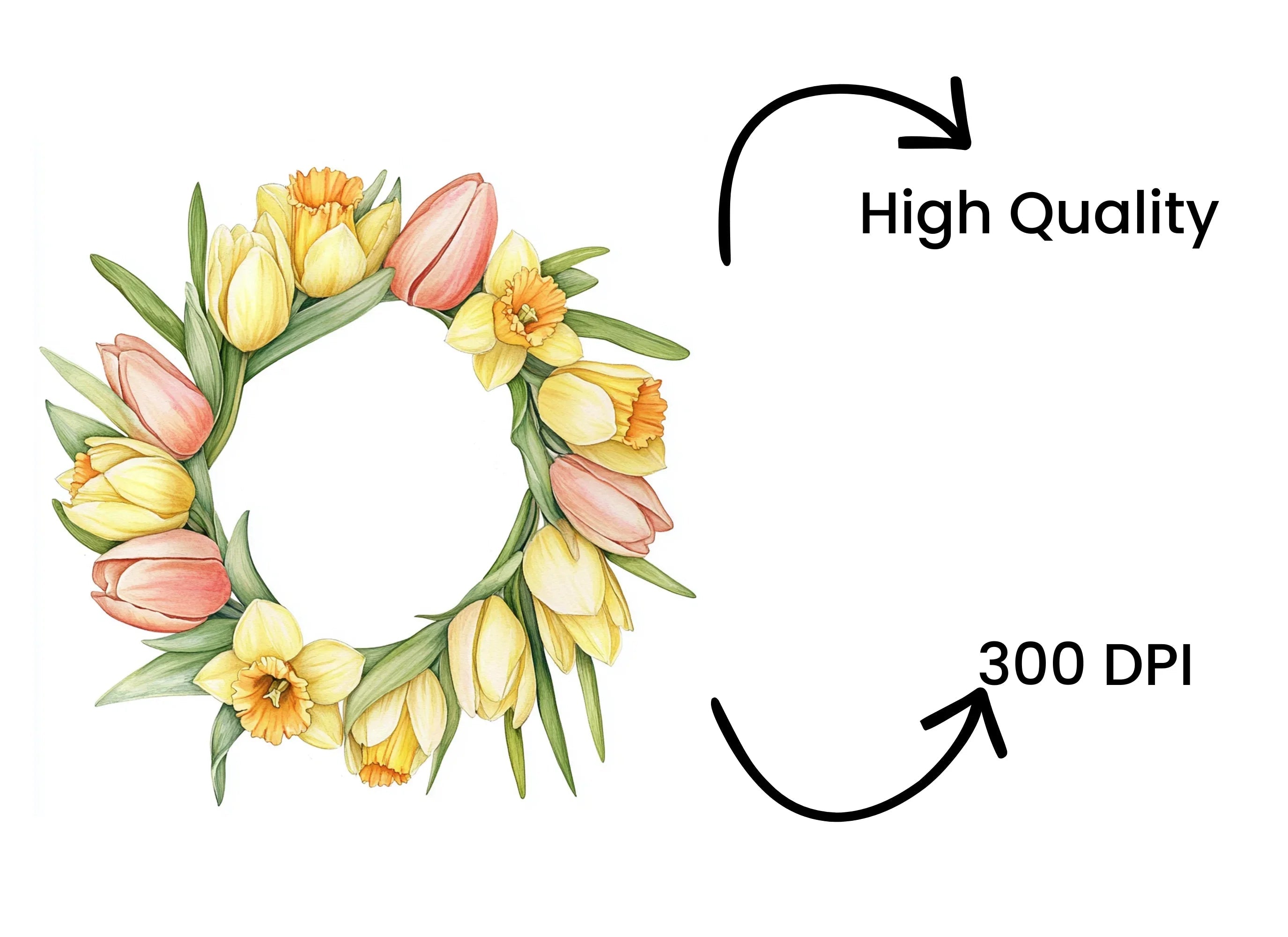 Spring Tulip Daffodil Wreath Clipart Bundle