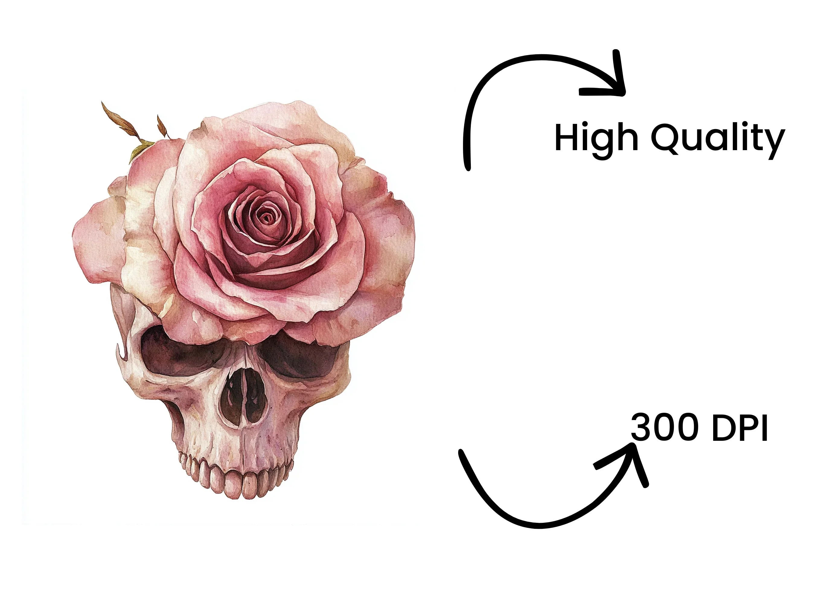 Skulls with Pink Roses Clipart Bundle