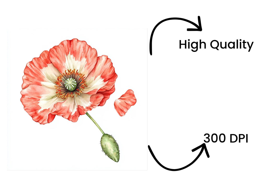 Vibrant Red Poppy Flower Clipart Bundle