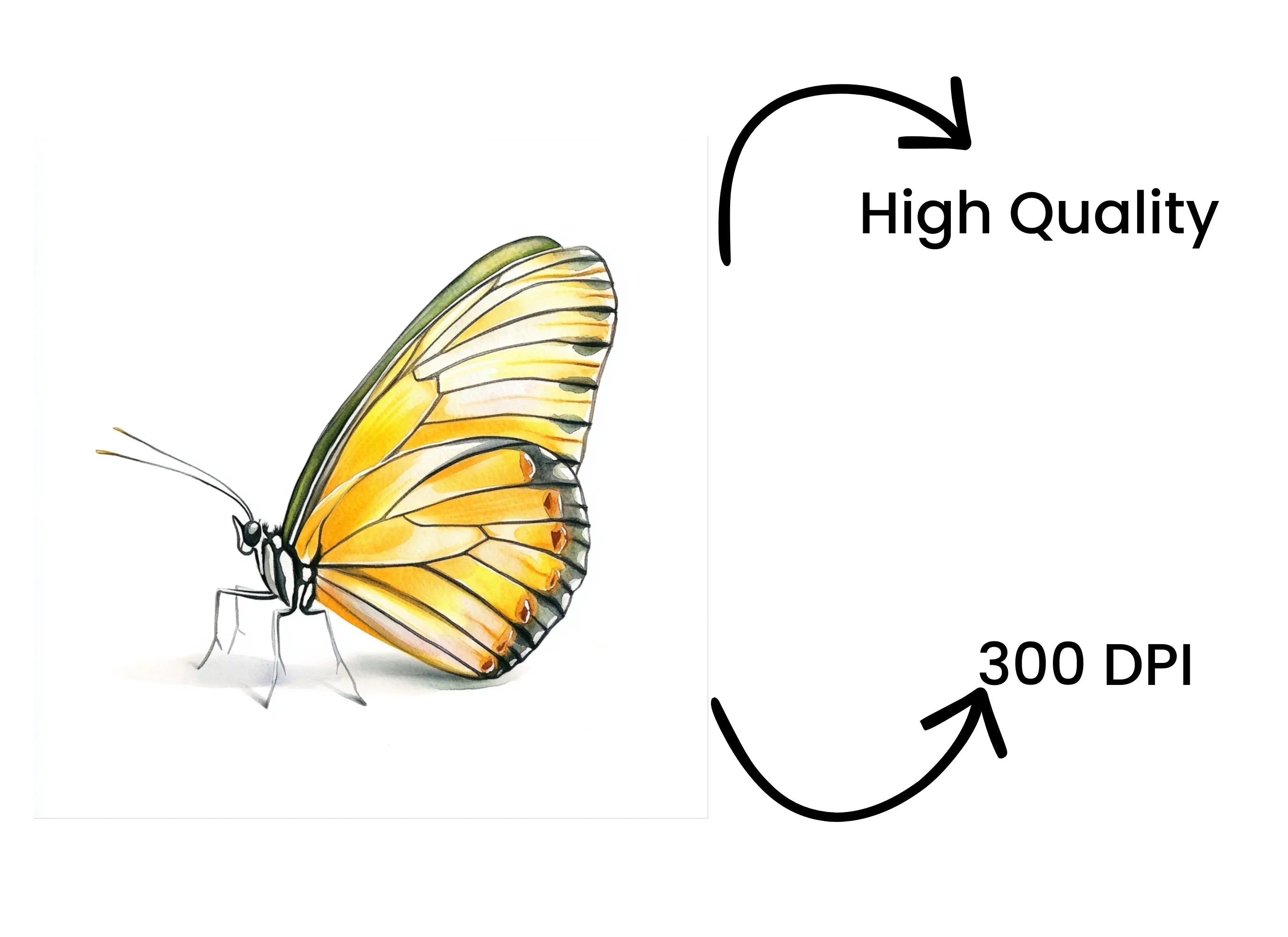 Yellow Butterfly Clipart Bundle