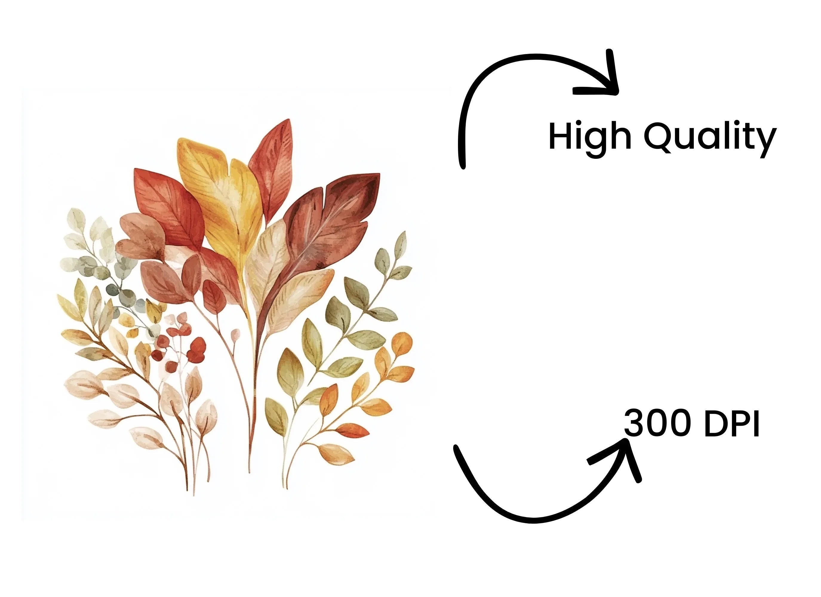 Autumn Leaves Clipart Bundle