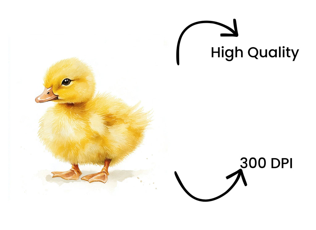 Fluffy Yellow Duckling Clipart Bundle