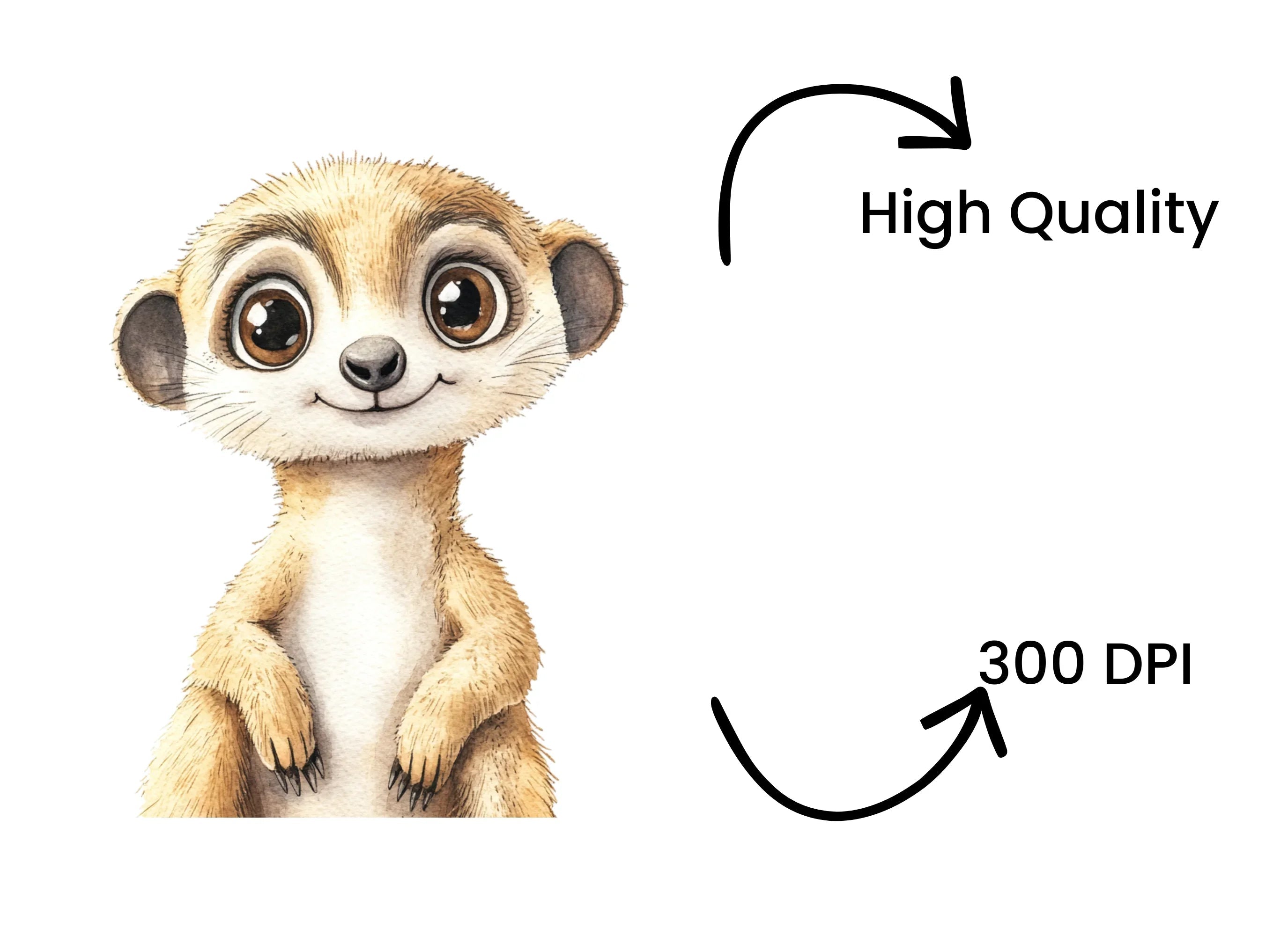 Adorable Meerkat Clipart Bundle
