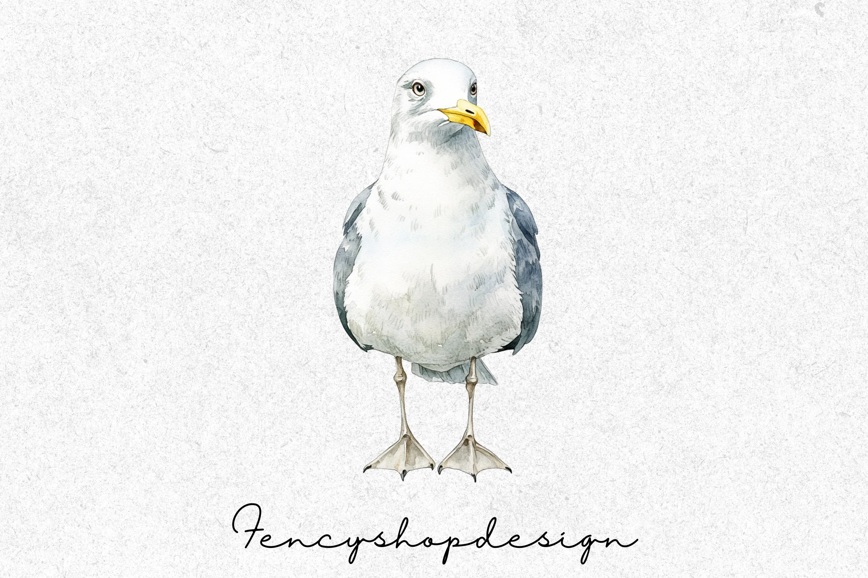 Seagull Clipart Bundle