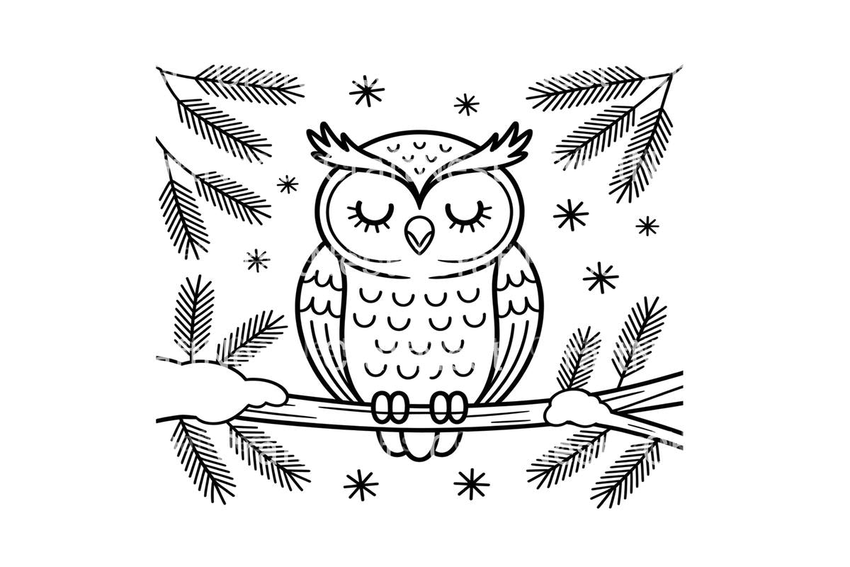 Cute Winter Owl Coloring Books