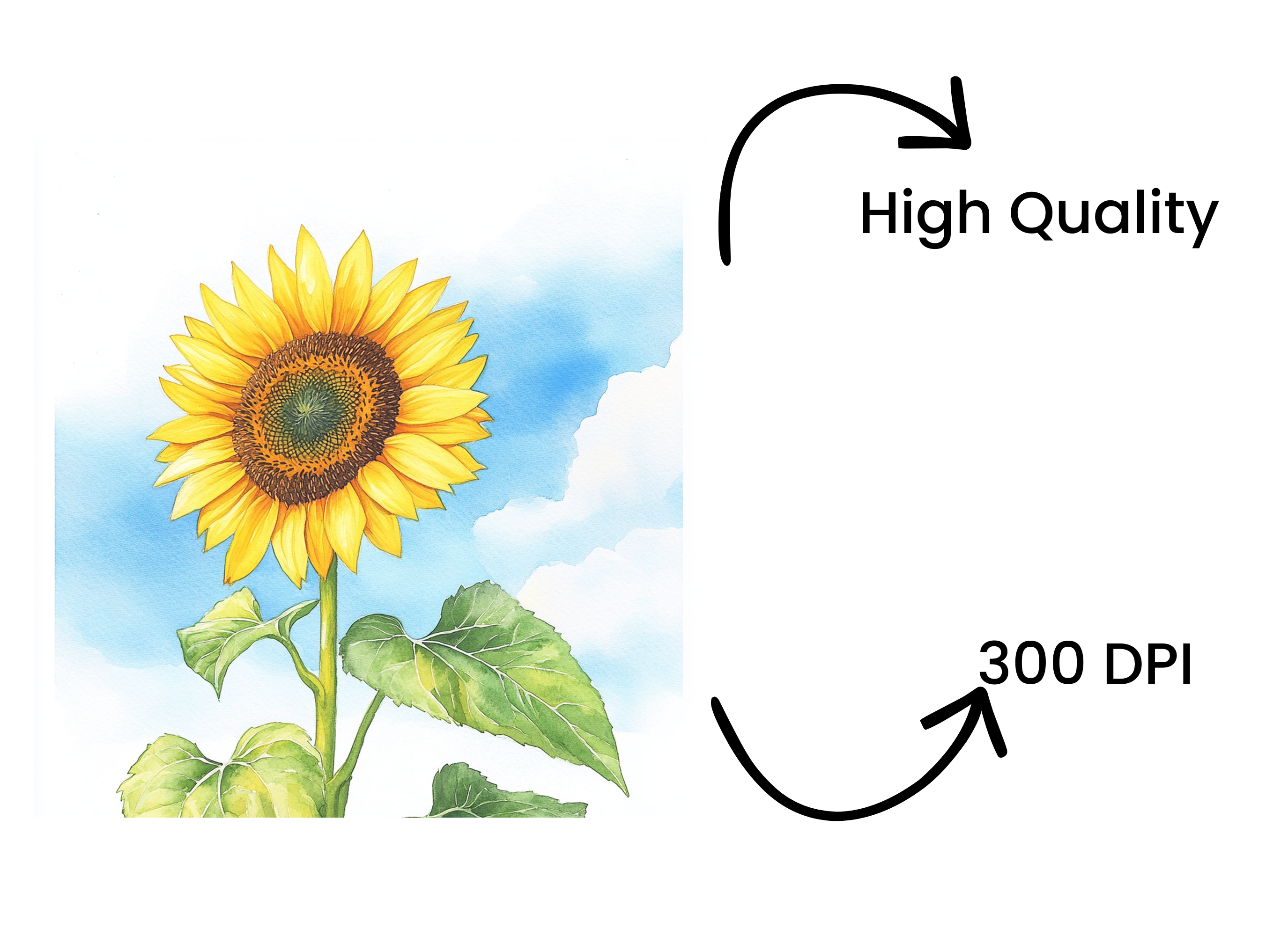 Bright Sunflower Illustrations Clipart Bundle