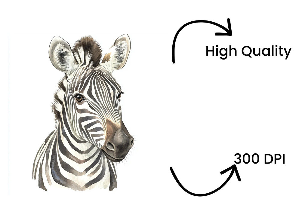 Zebra Head Clipart Bundle