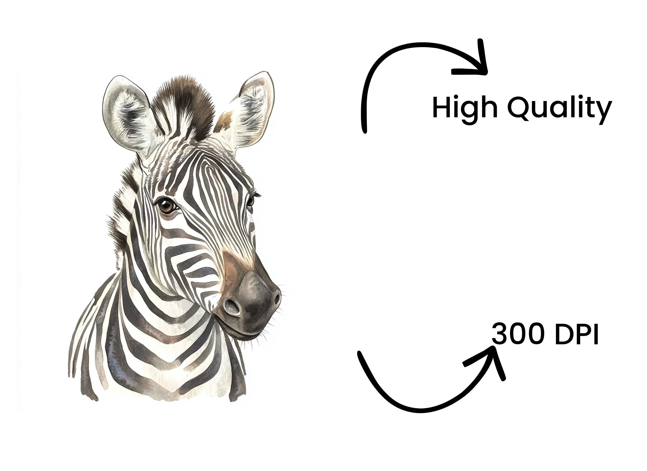Zebra Head Clipart Bundle