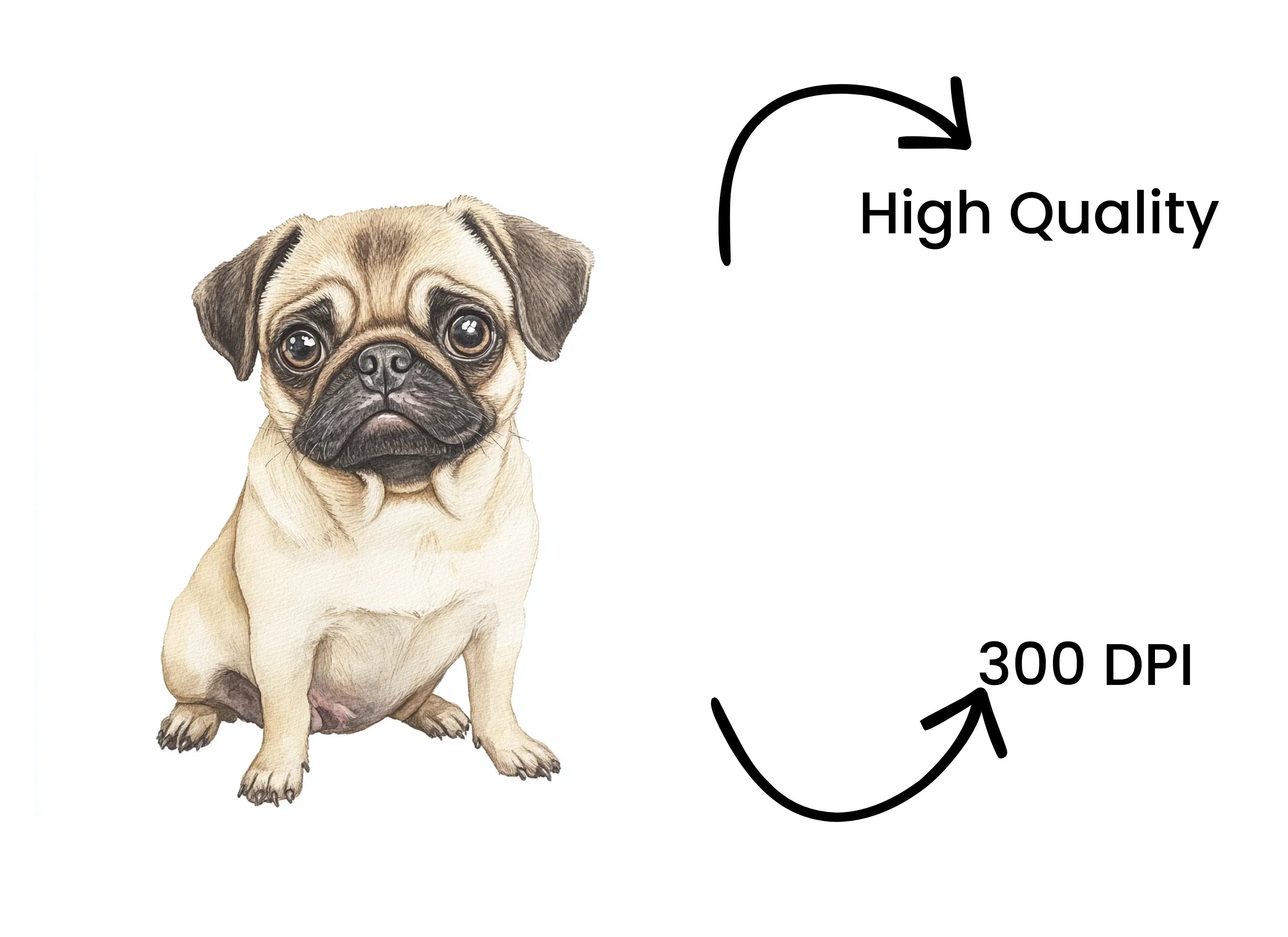 Adorable Pug Puppy Clipart Bundle
