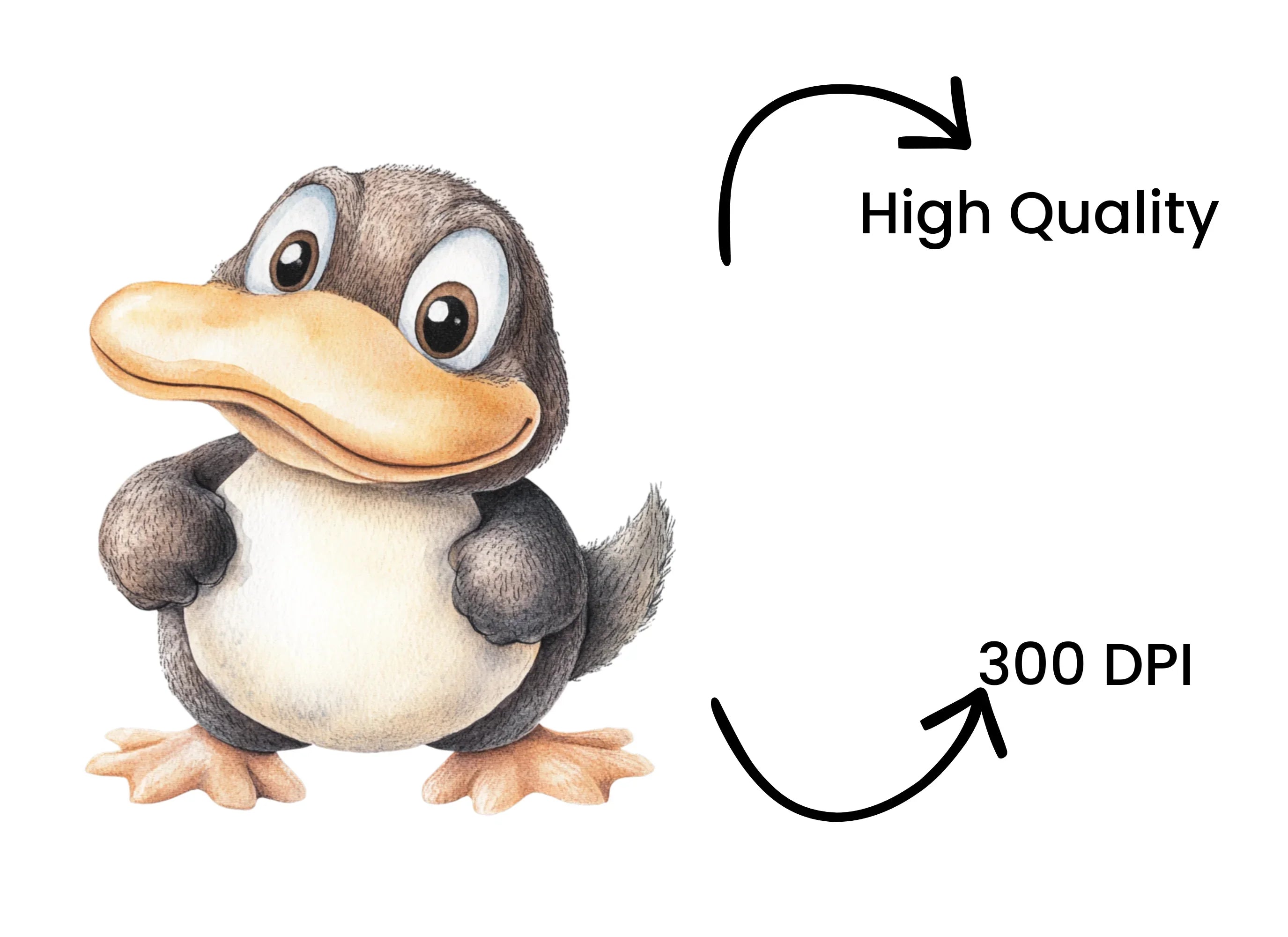 Cute Platypus Character Clipart Bundle