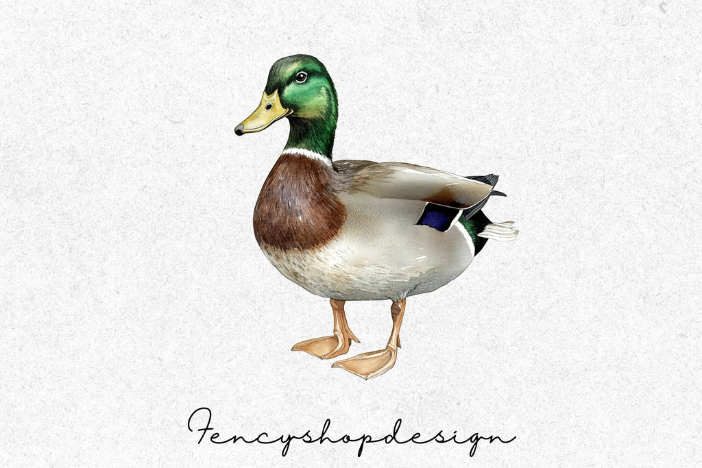 Mallard Ducks Wildlife Animal Clipart Bundle