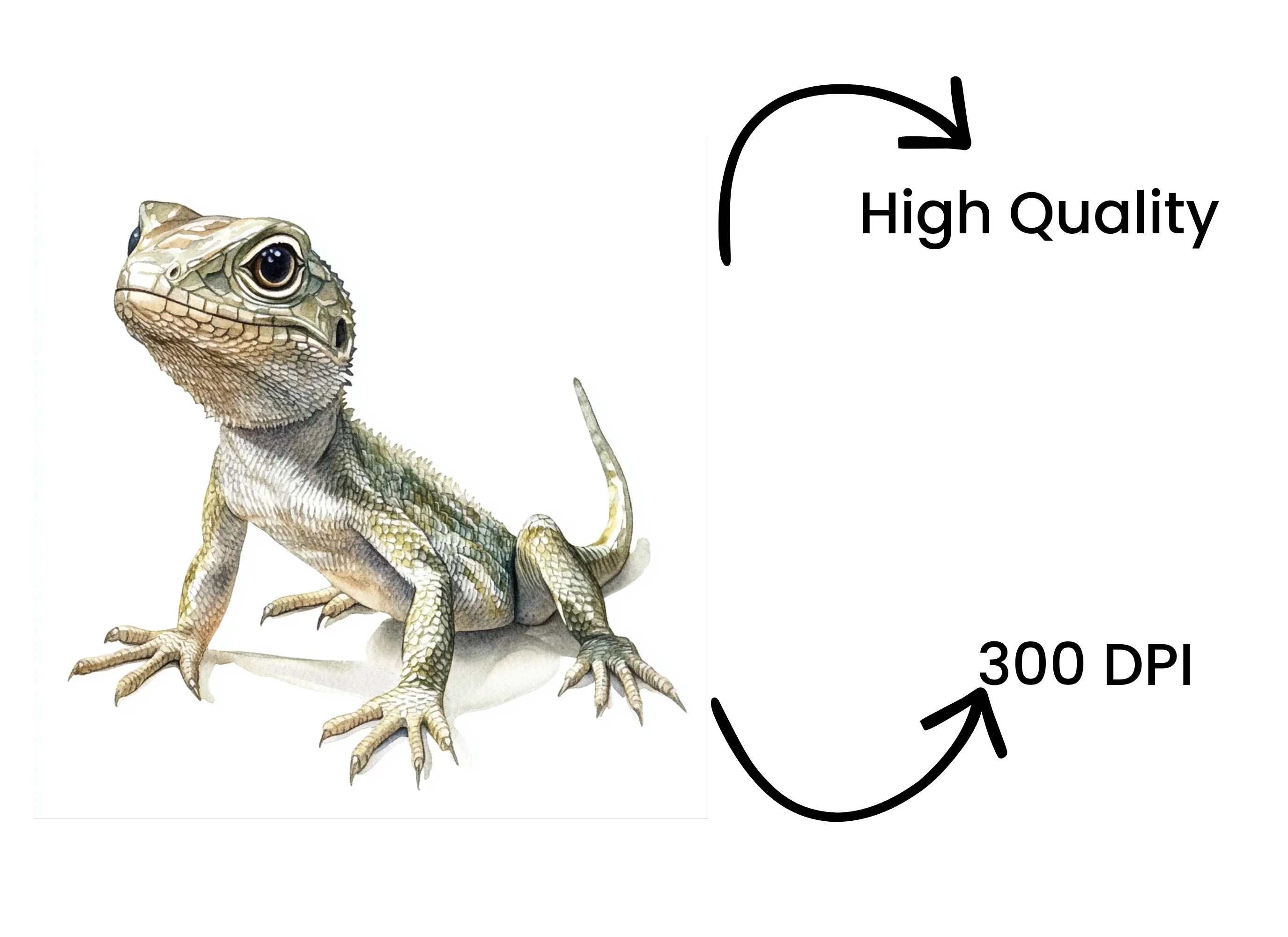 Cute Lizard Clipart Bundle