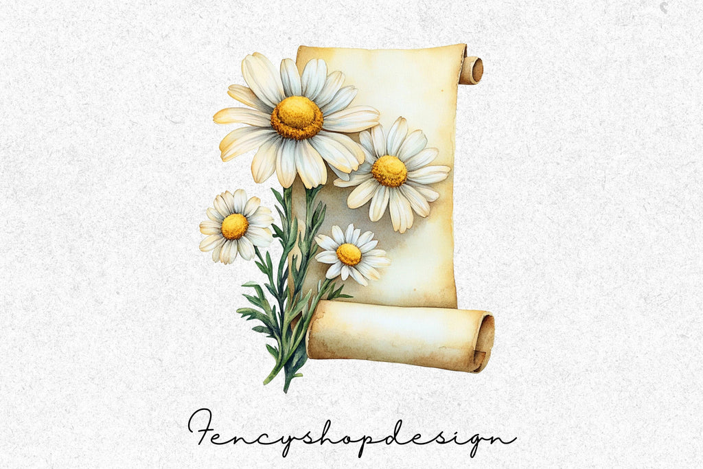 Elegant Daisy Scroll Clipart Bundle