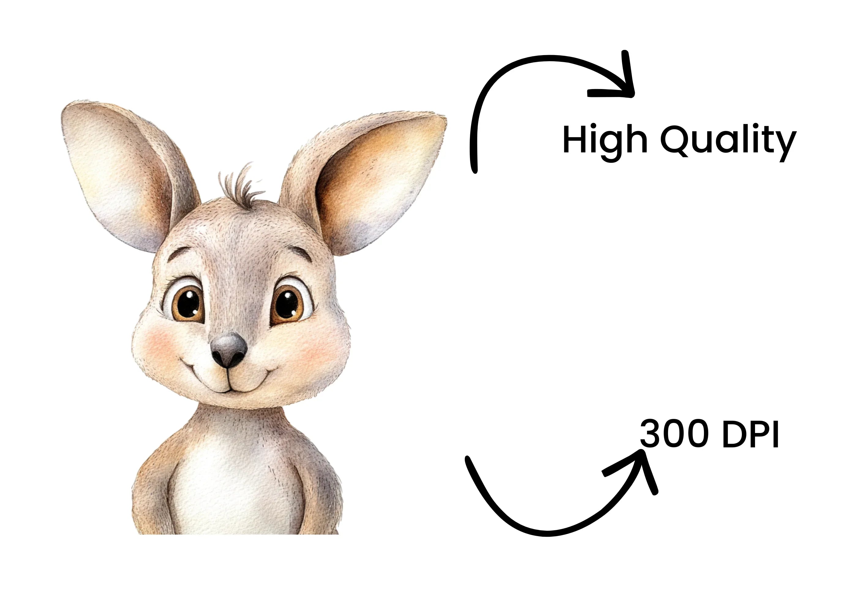 Cute Baby Kangaroo Clipart Bundle