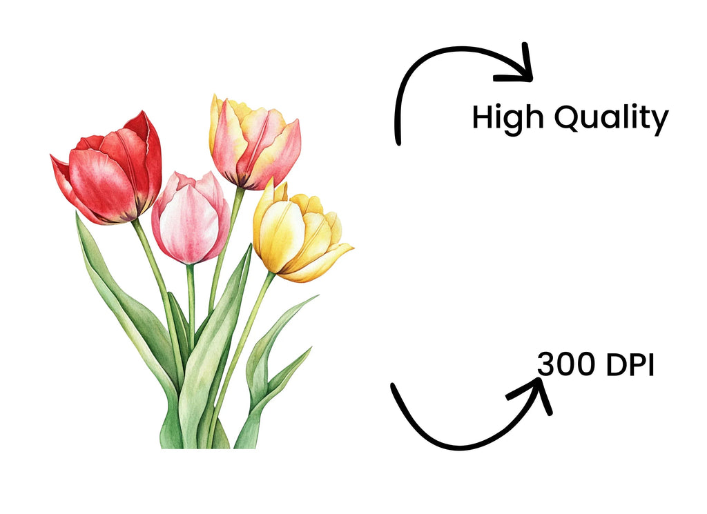 Tulip Bouquets Clipart Bundle
