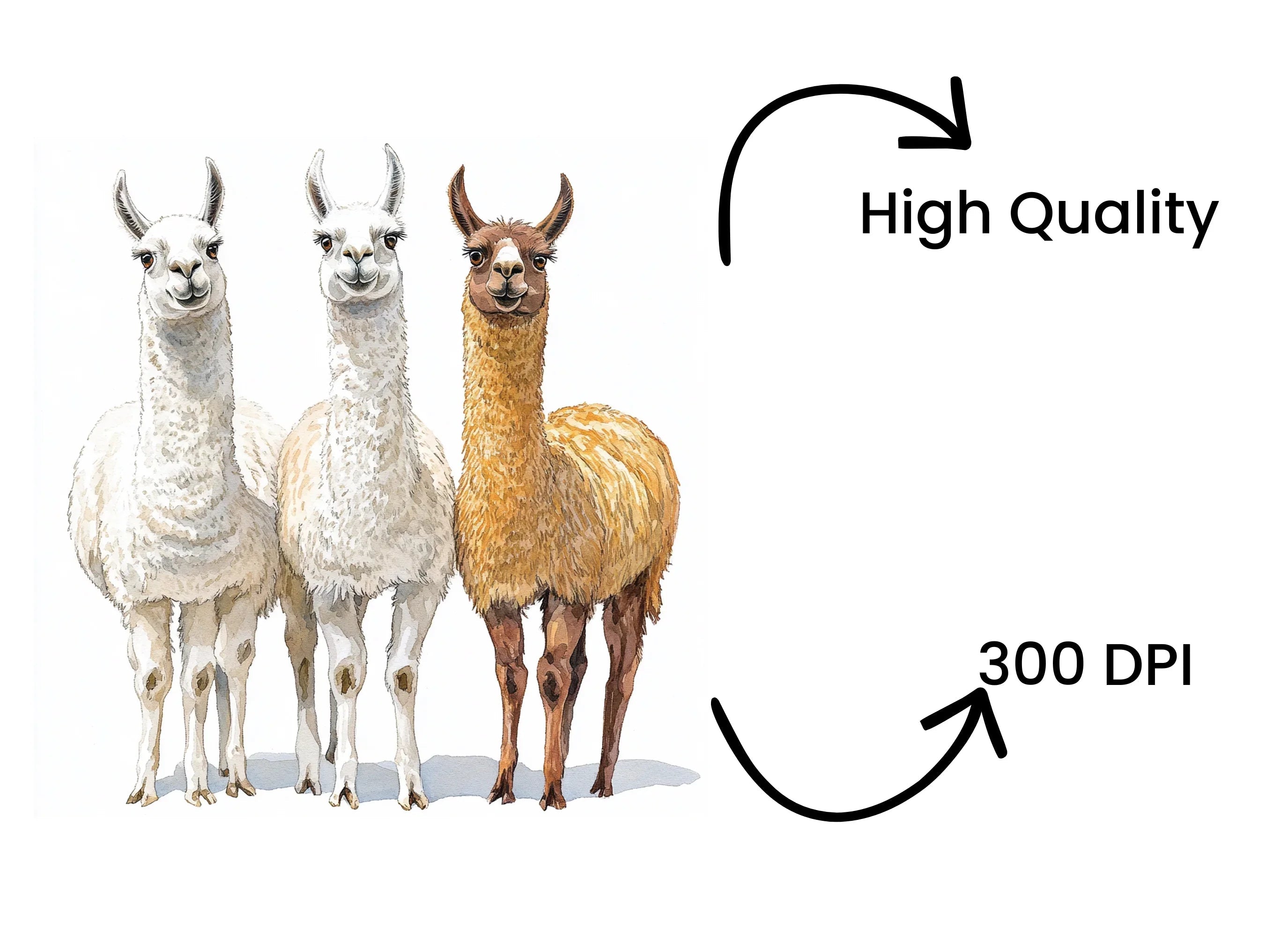Diverse Llama Group Clipart Bundle